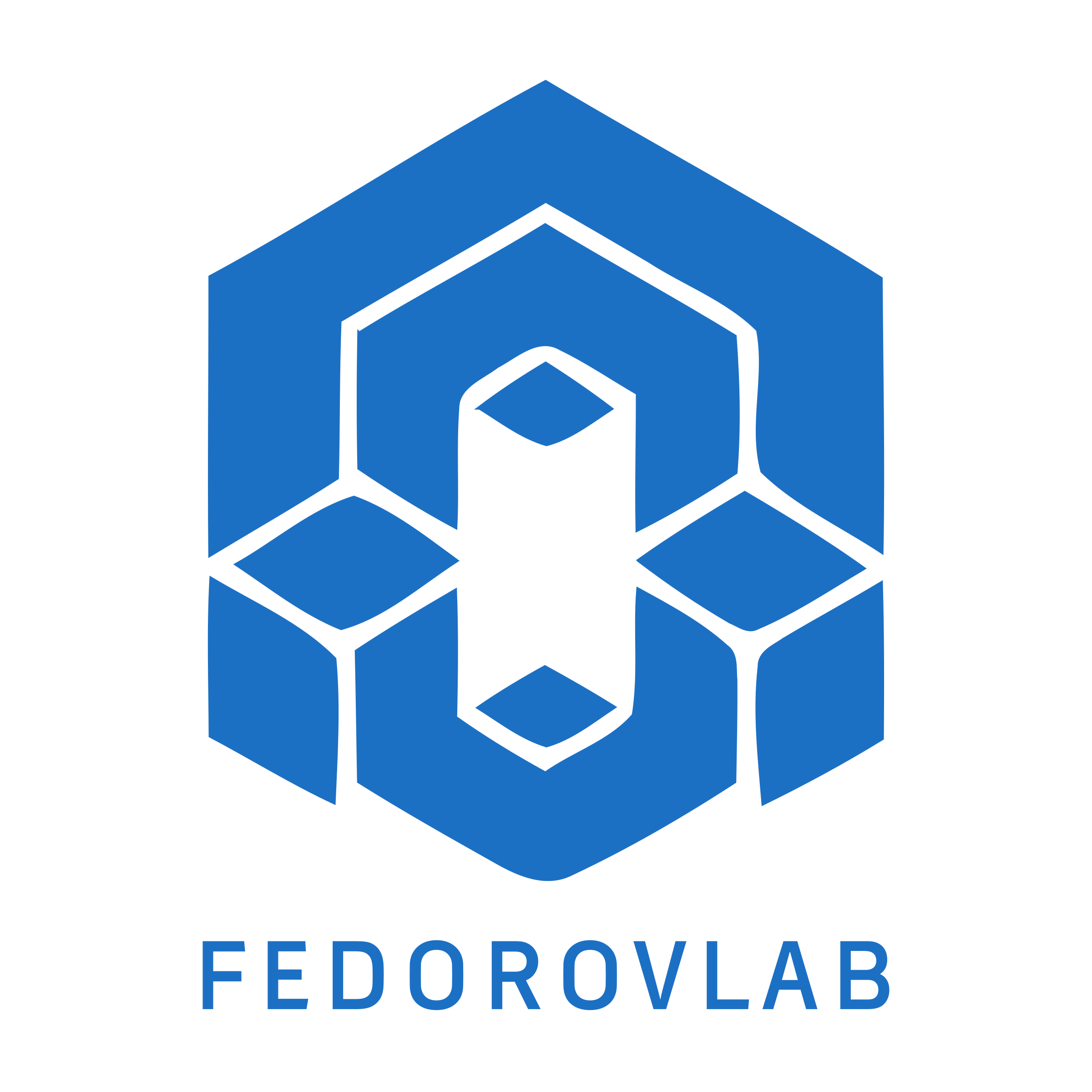 Company logo «fedorovlab»