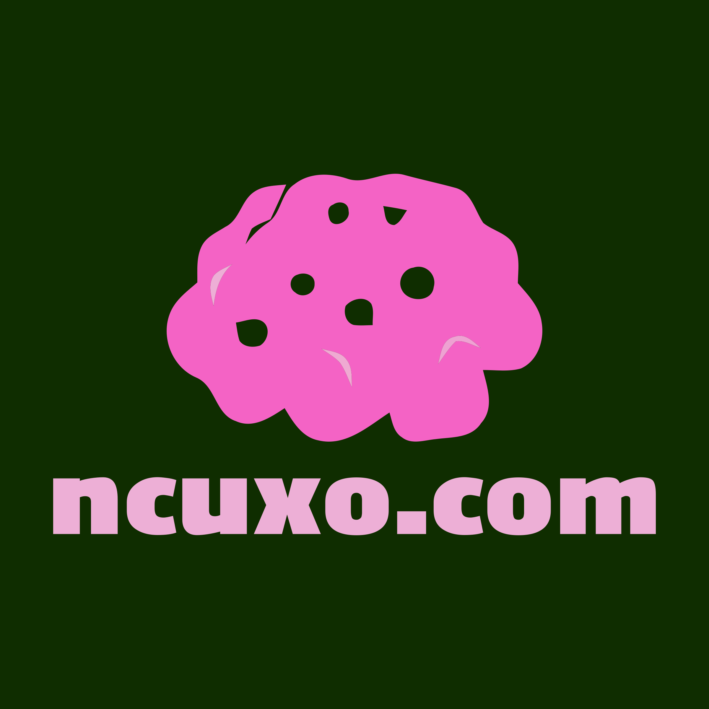 Company logo «ncuxo.com»