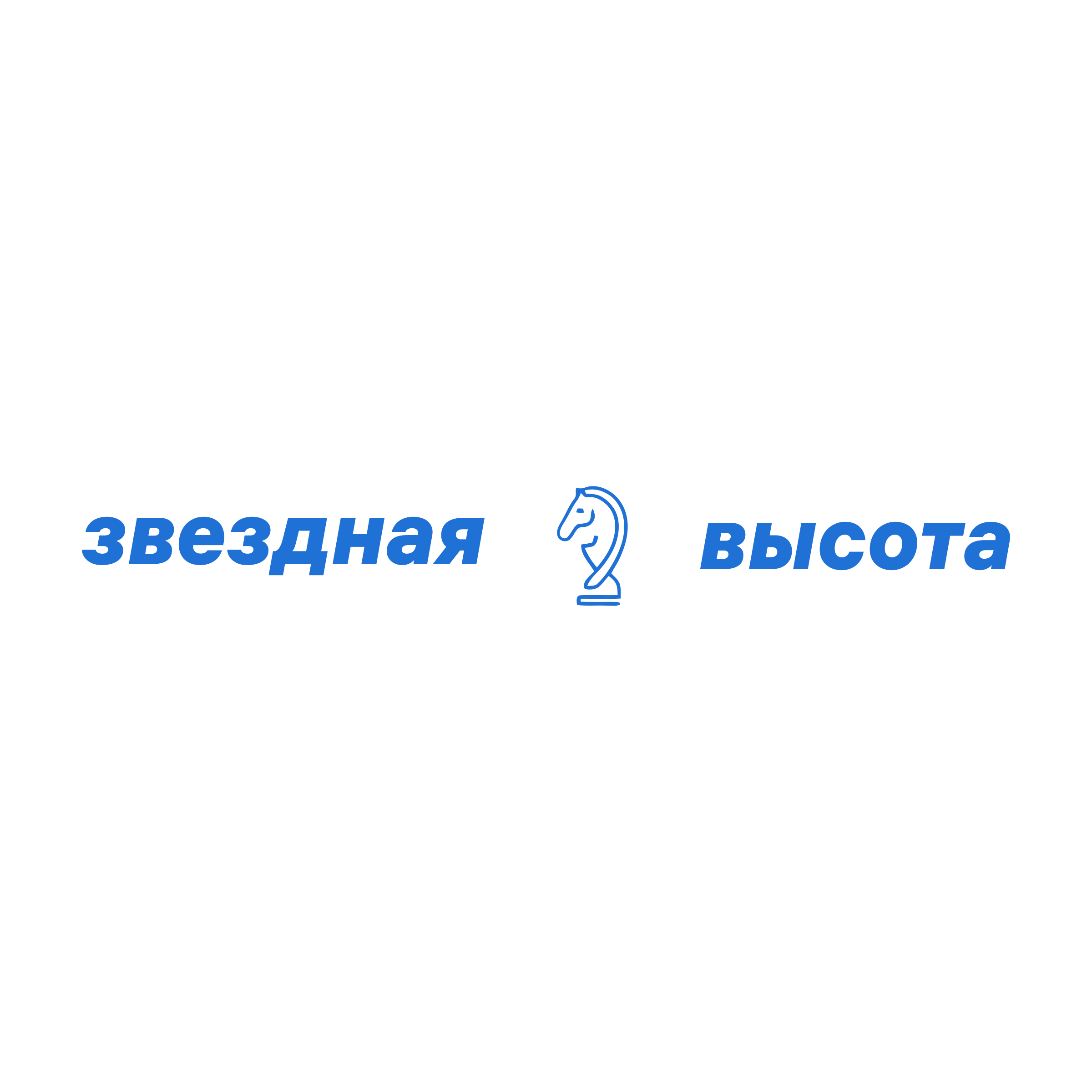 Company logo «звездная высота»