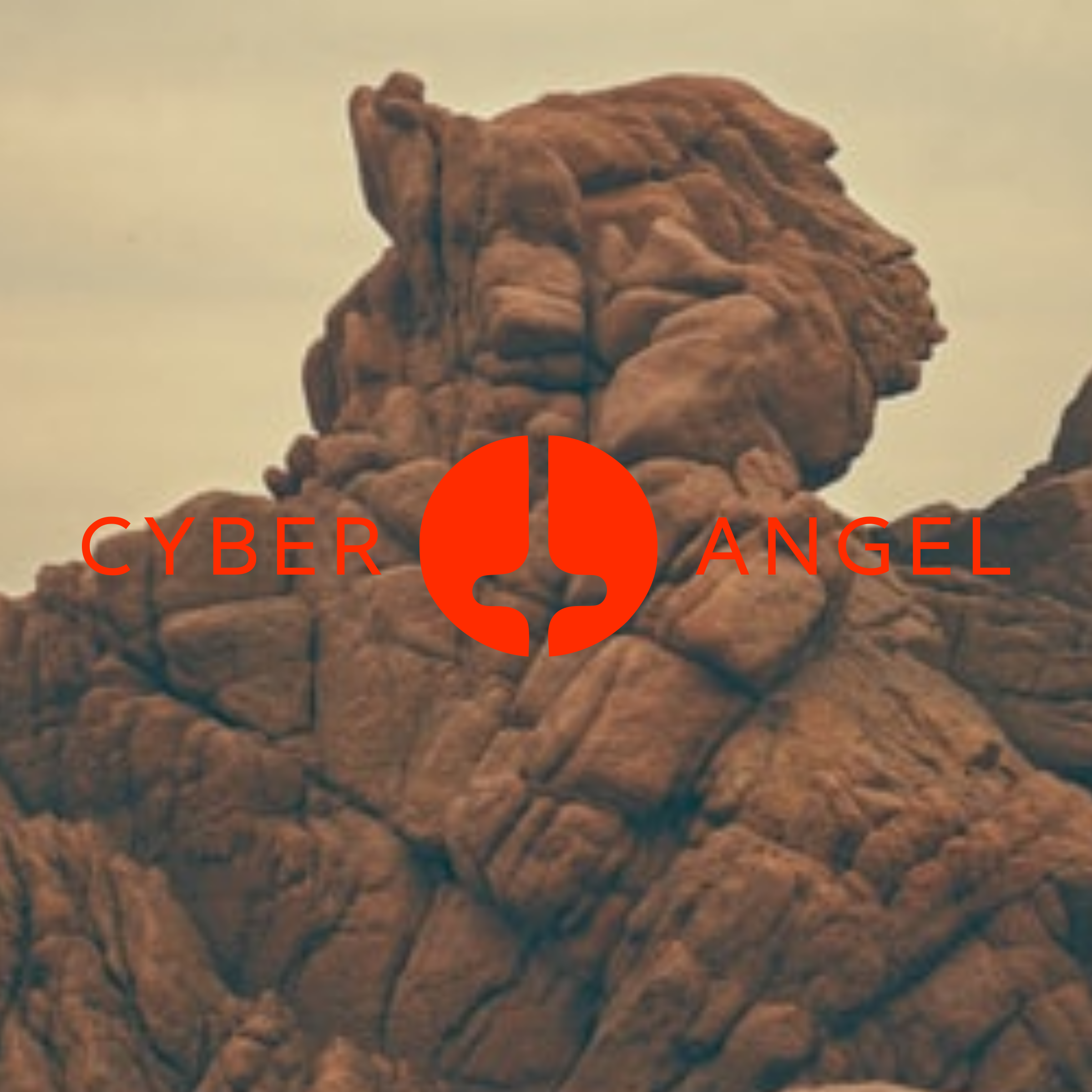 Логотип компании «Cyber Angel»