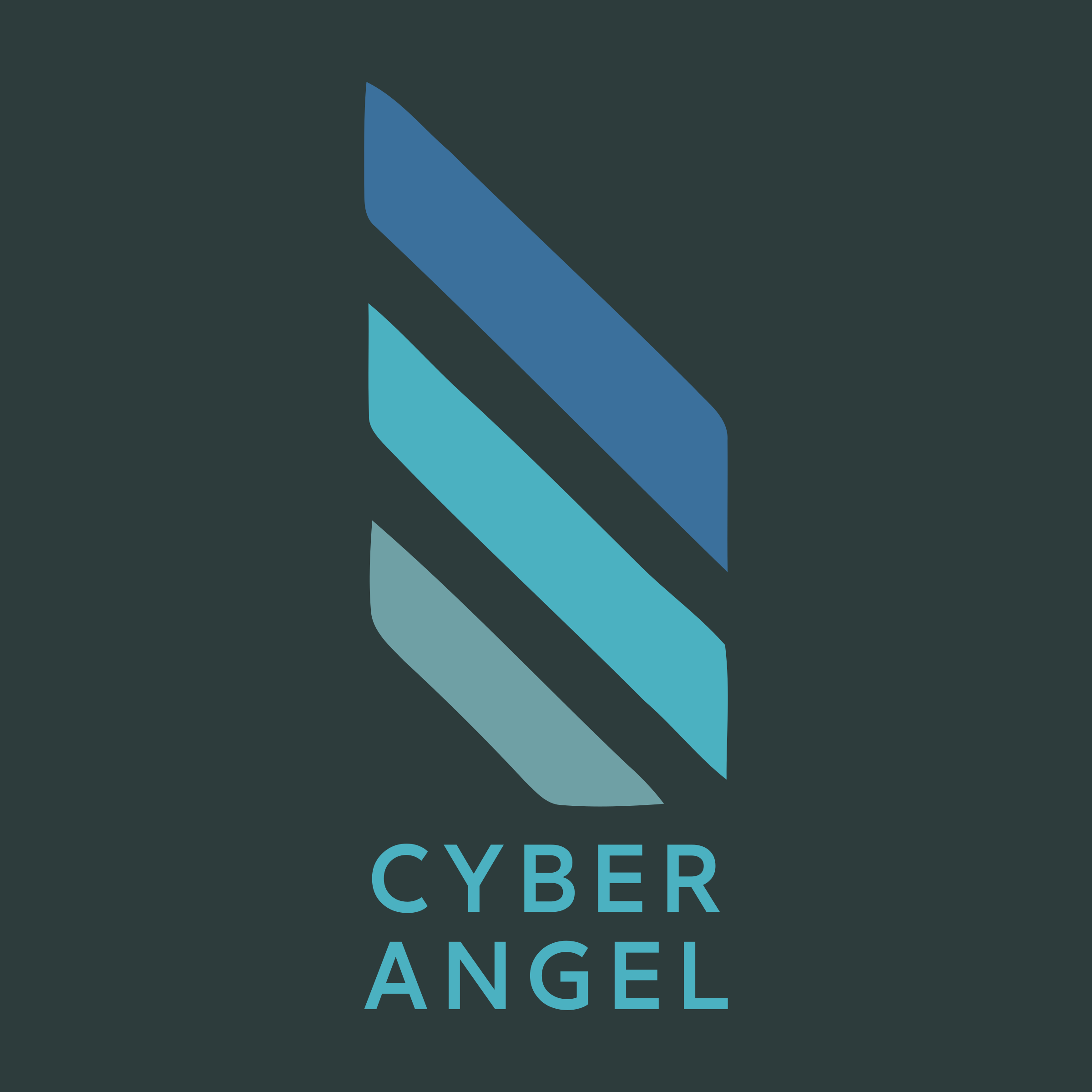 Логотип компании «Cyber Angel»