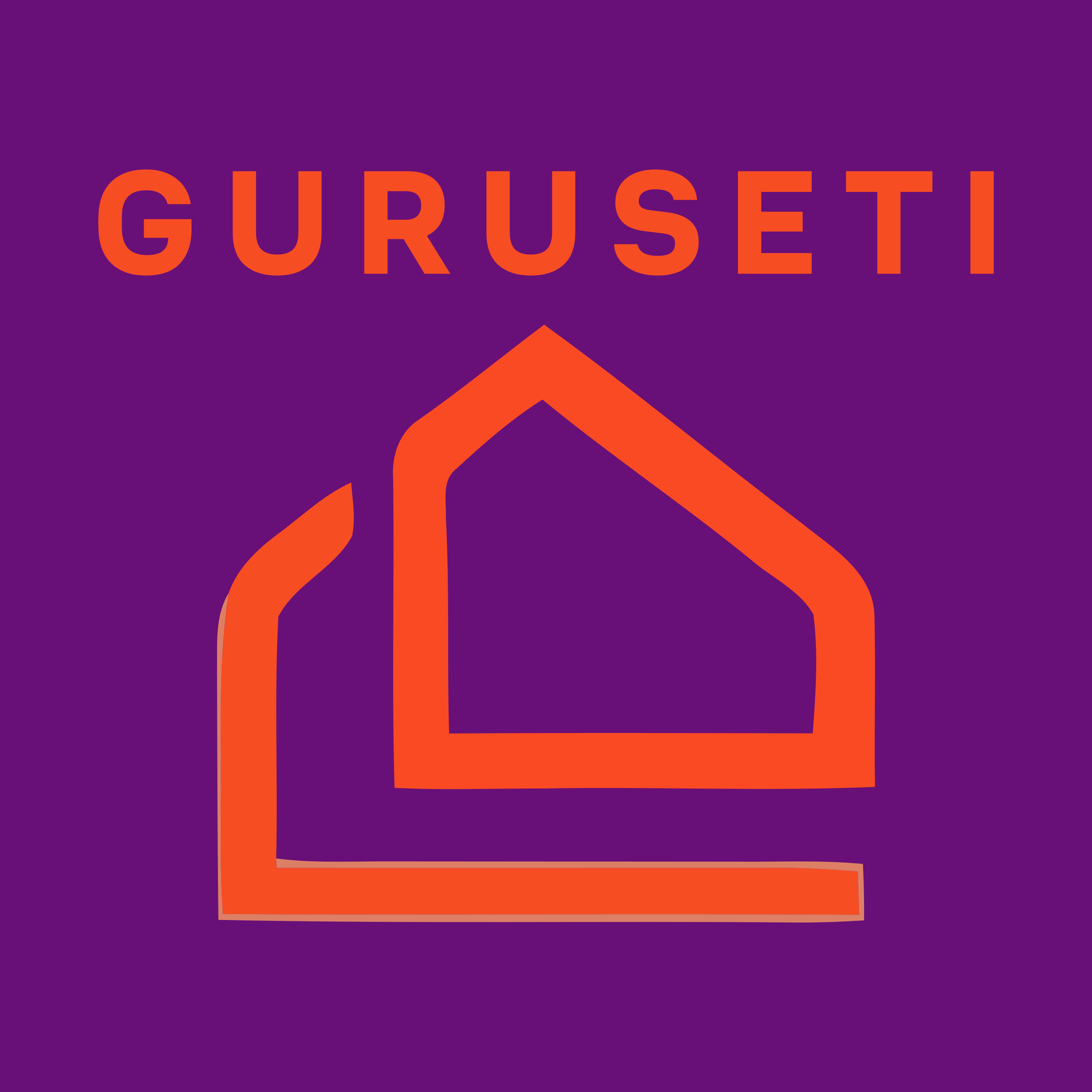 Company logo «guruseti»