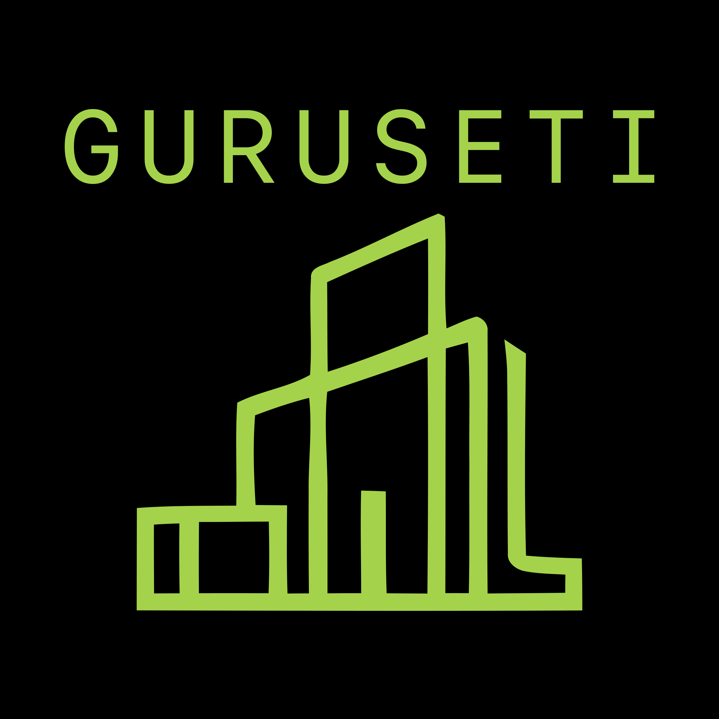 Company logo «guruseti»