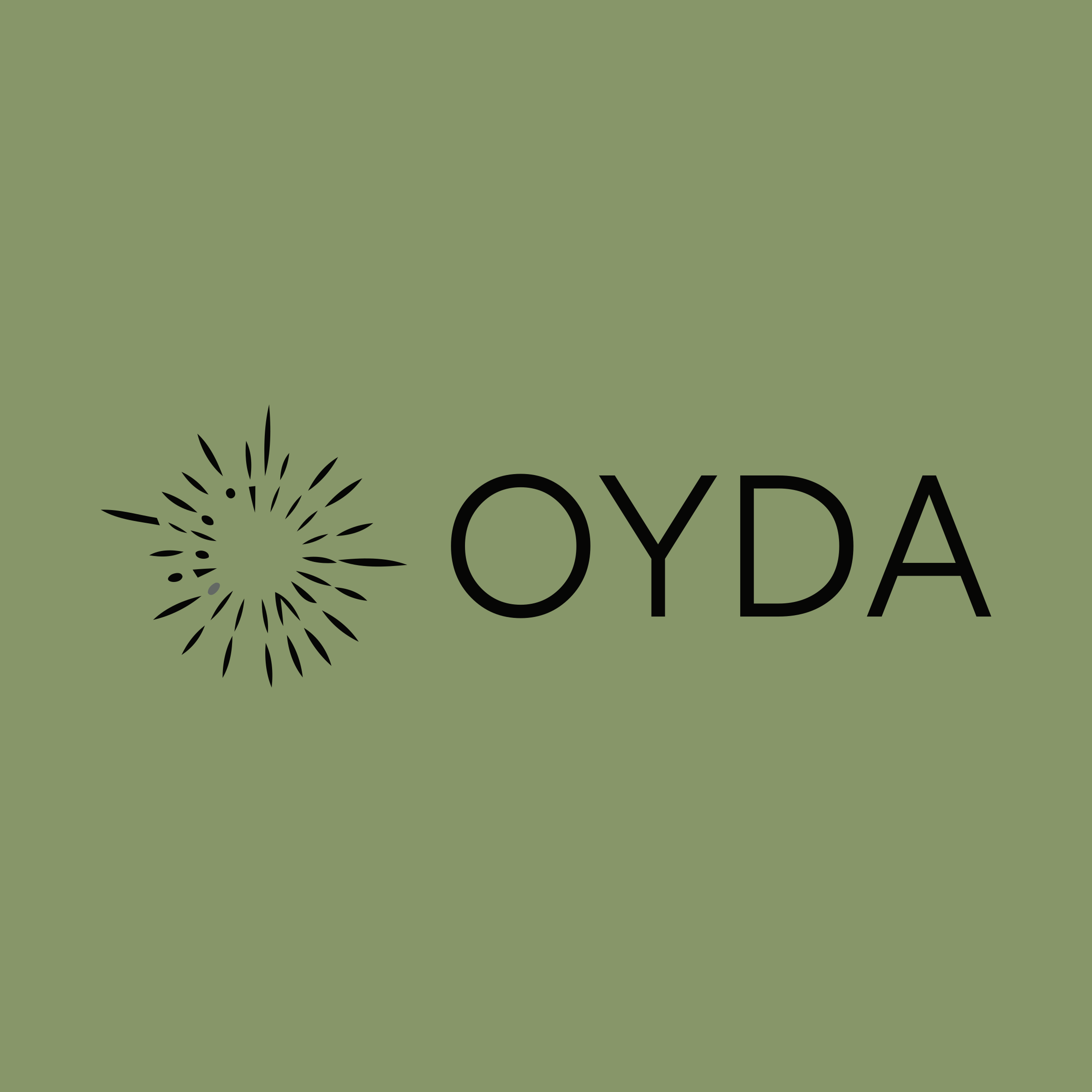 Company logo «OYDA»