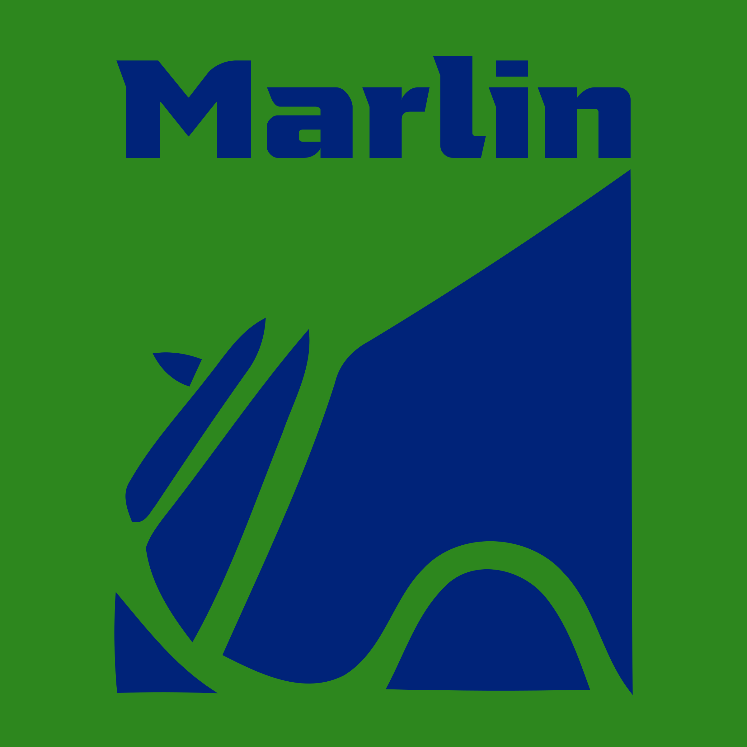 Company logo «Marlin»