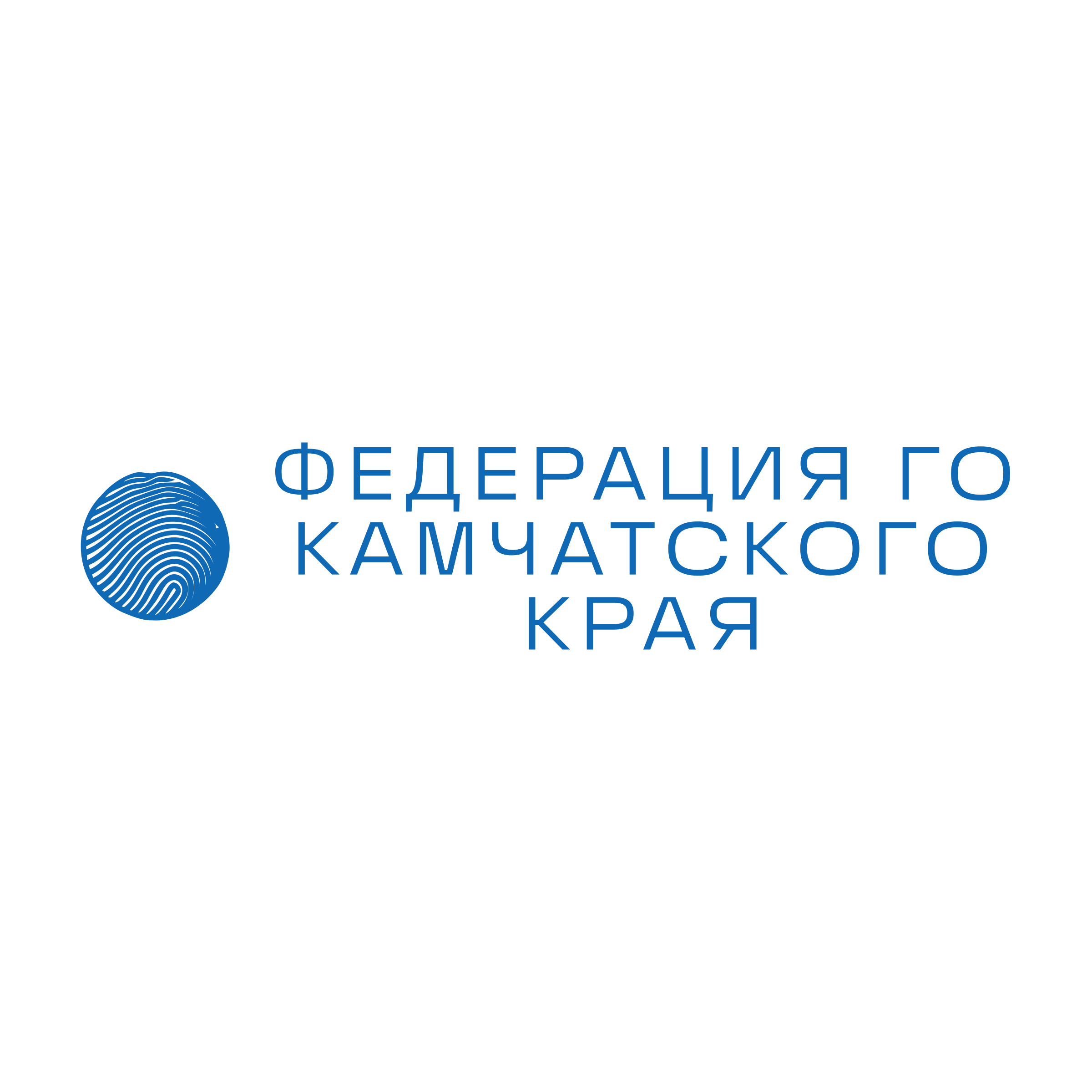 Company logo «Федерация Го Камчатского края»