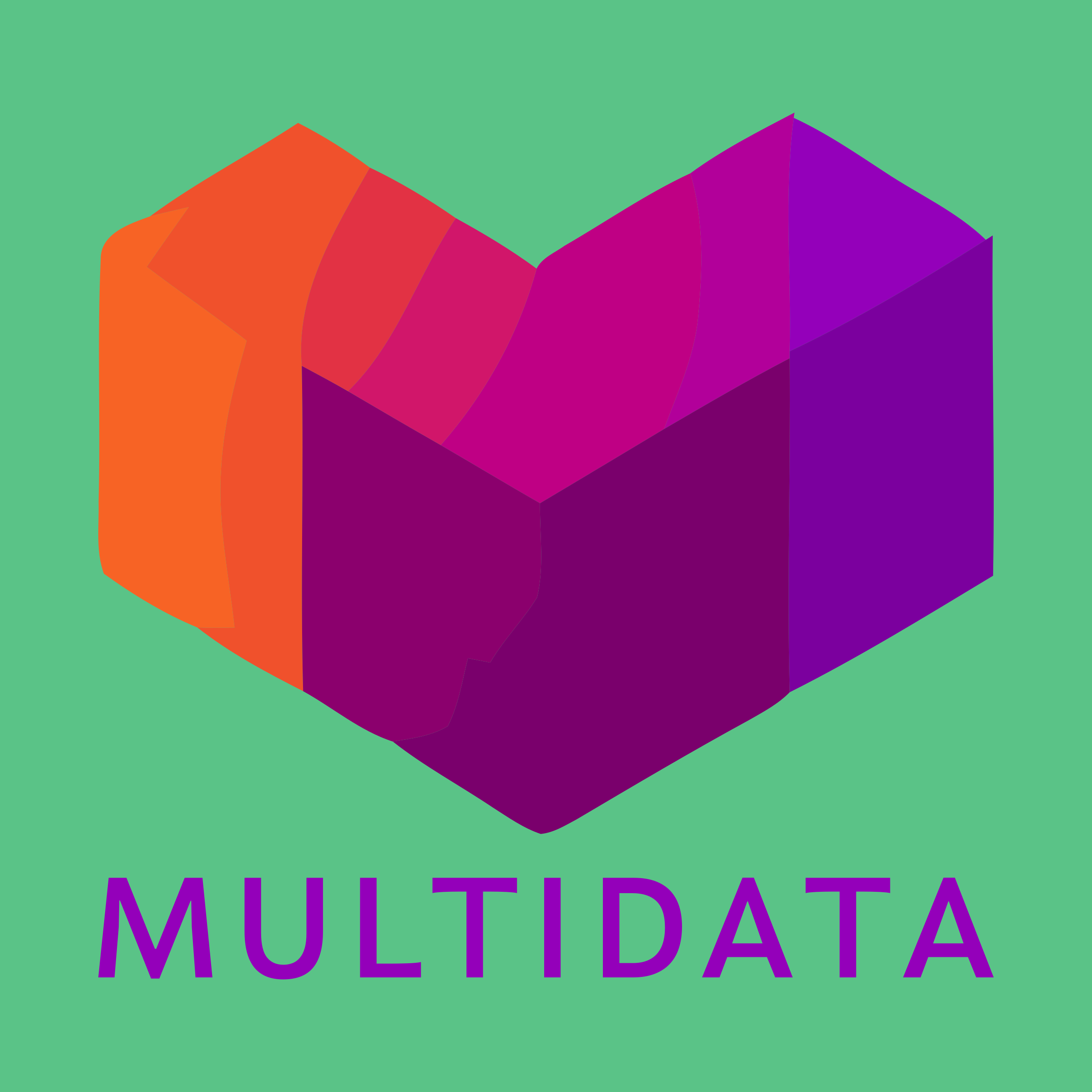 Company logo «multidata»