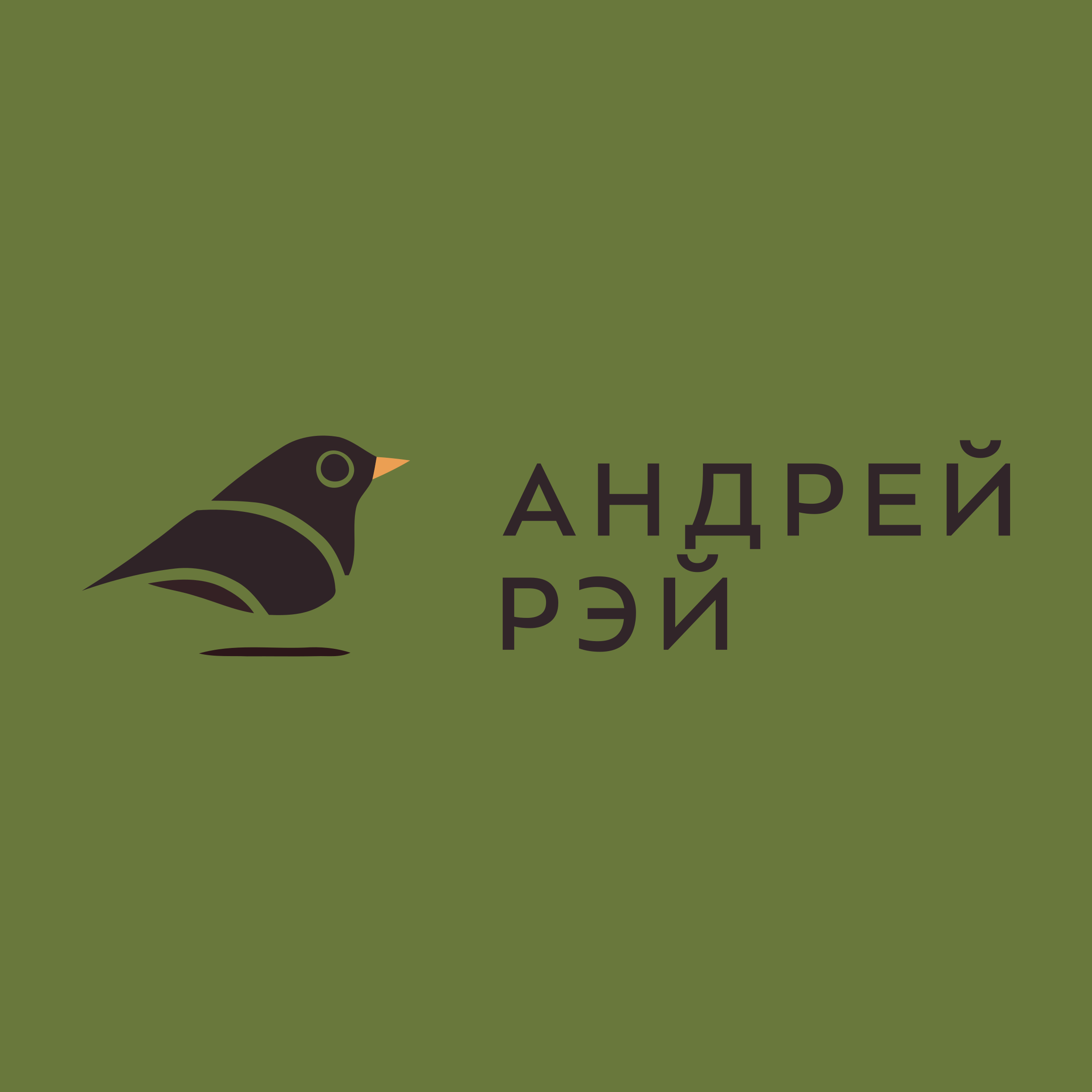 Company logo «Андрей Рэй»