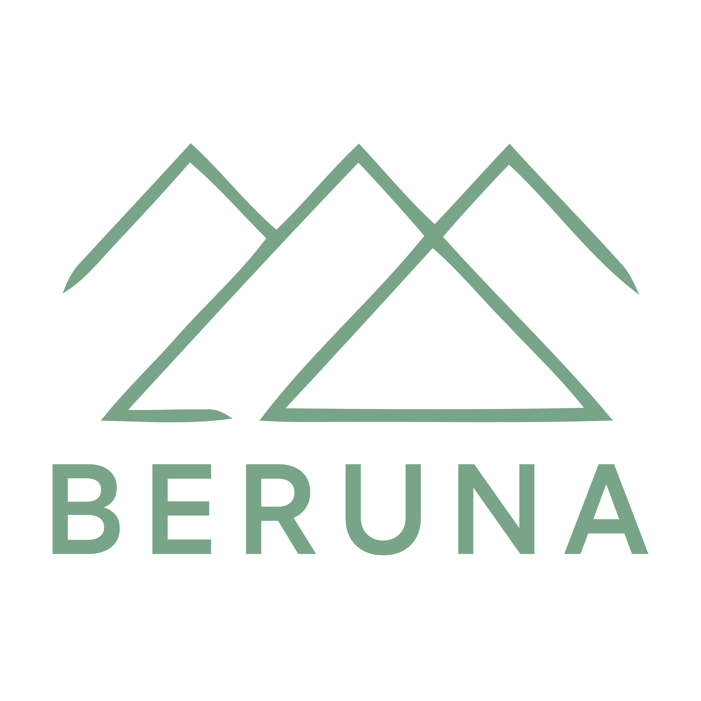 Логотип компании «BerUna»