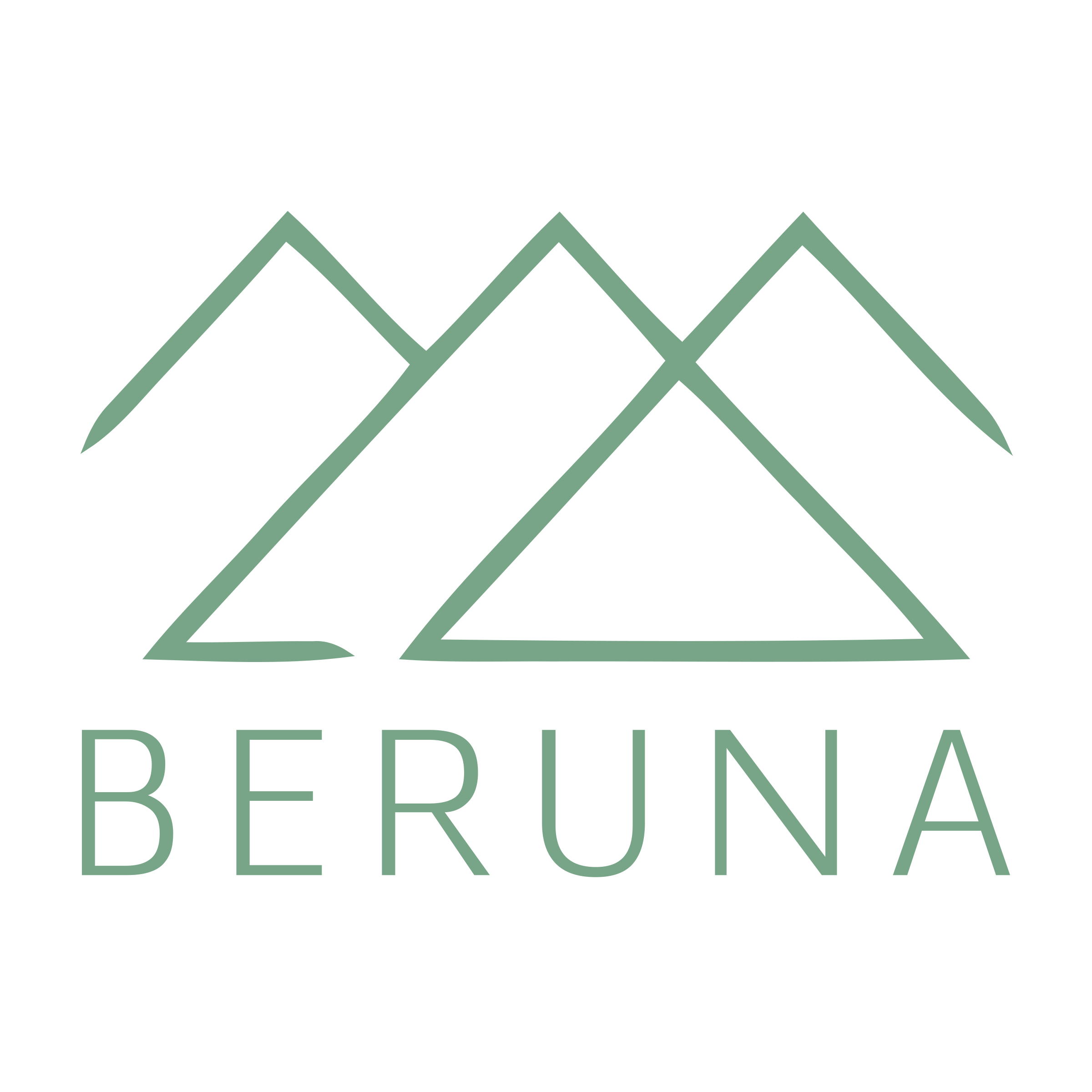 Логотип компании «BerUna»