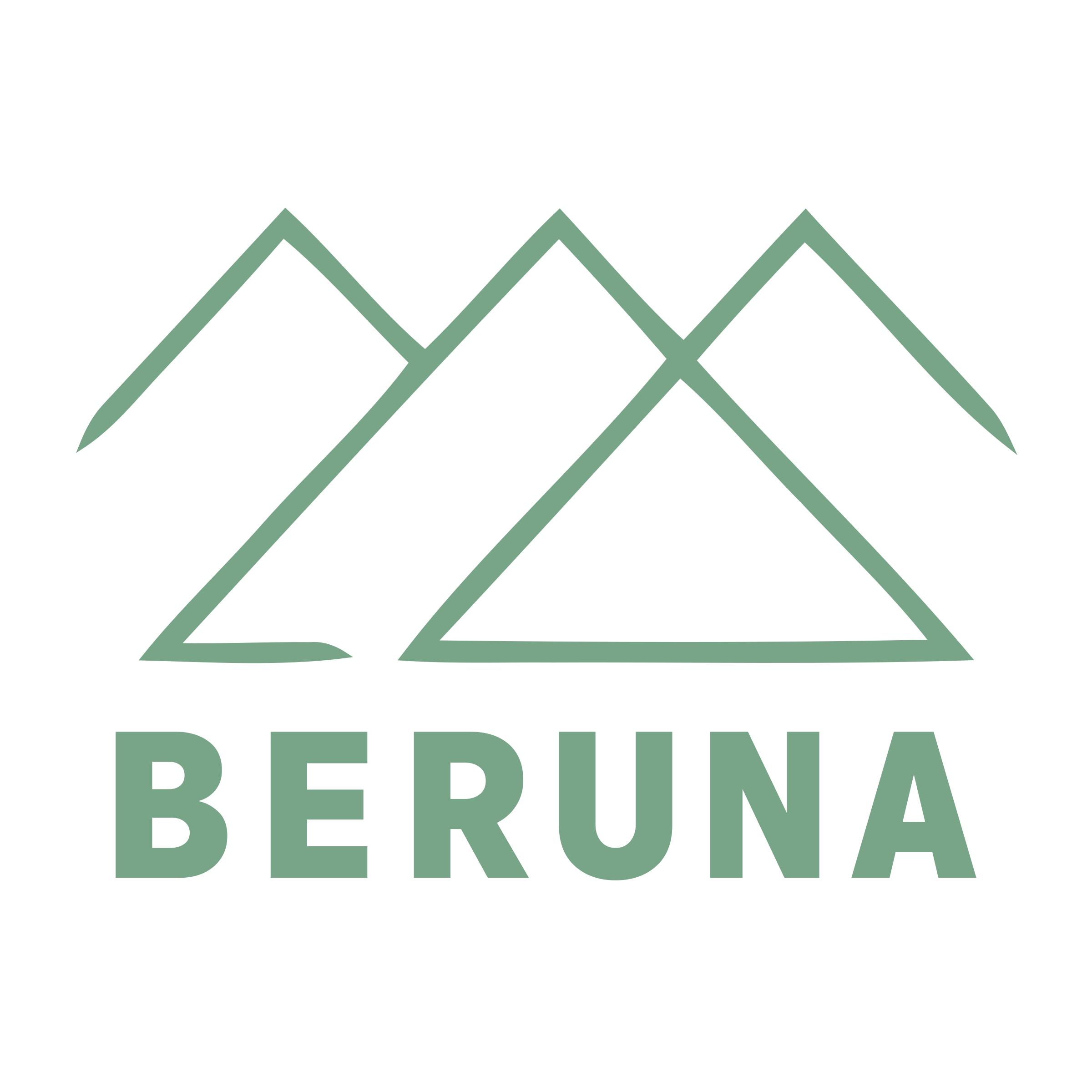 Логотип компании «BerUna»