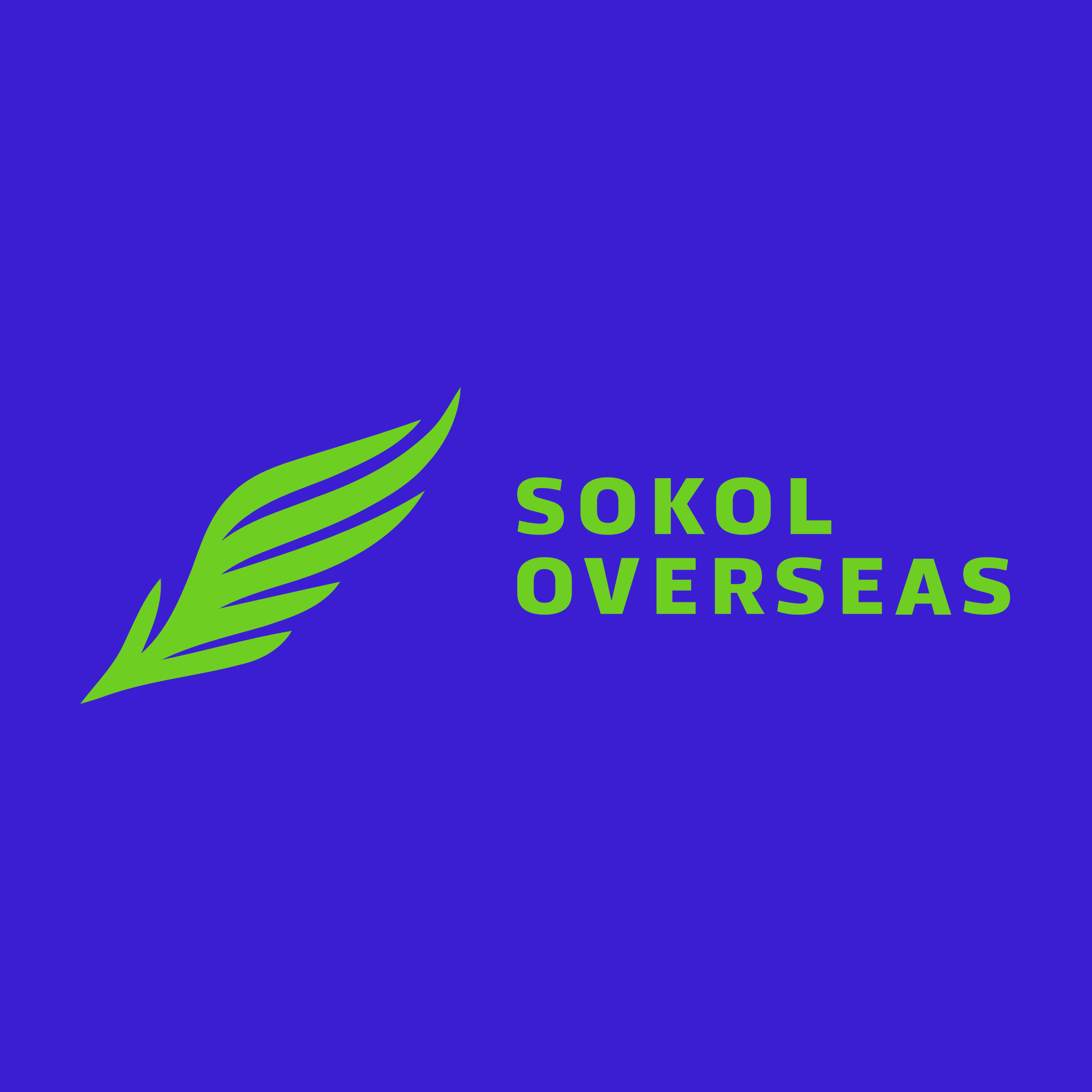 Company logo «Sokol Overseas»