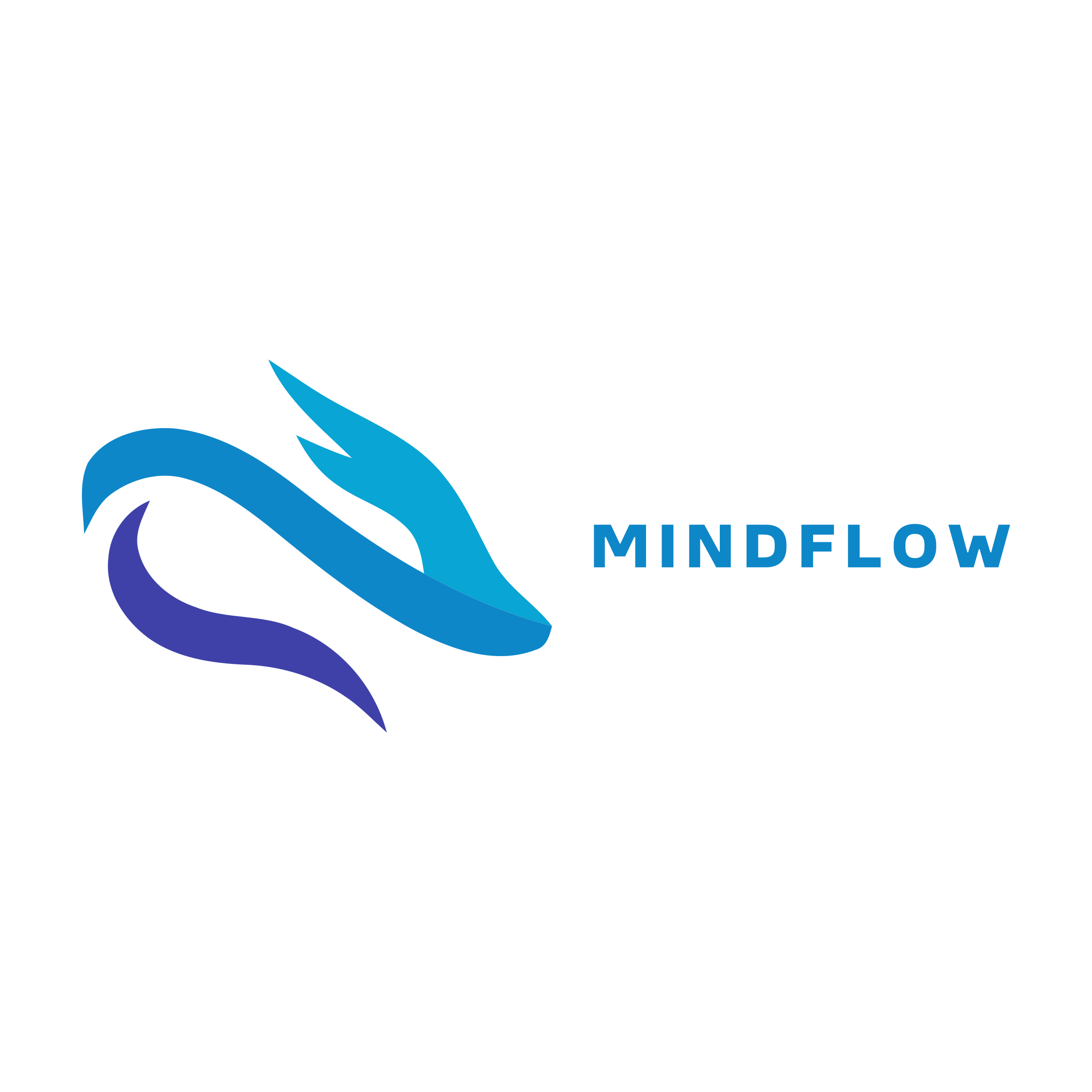 Company logo «MindFlow»