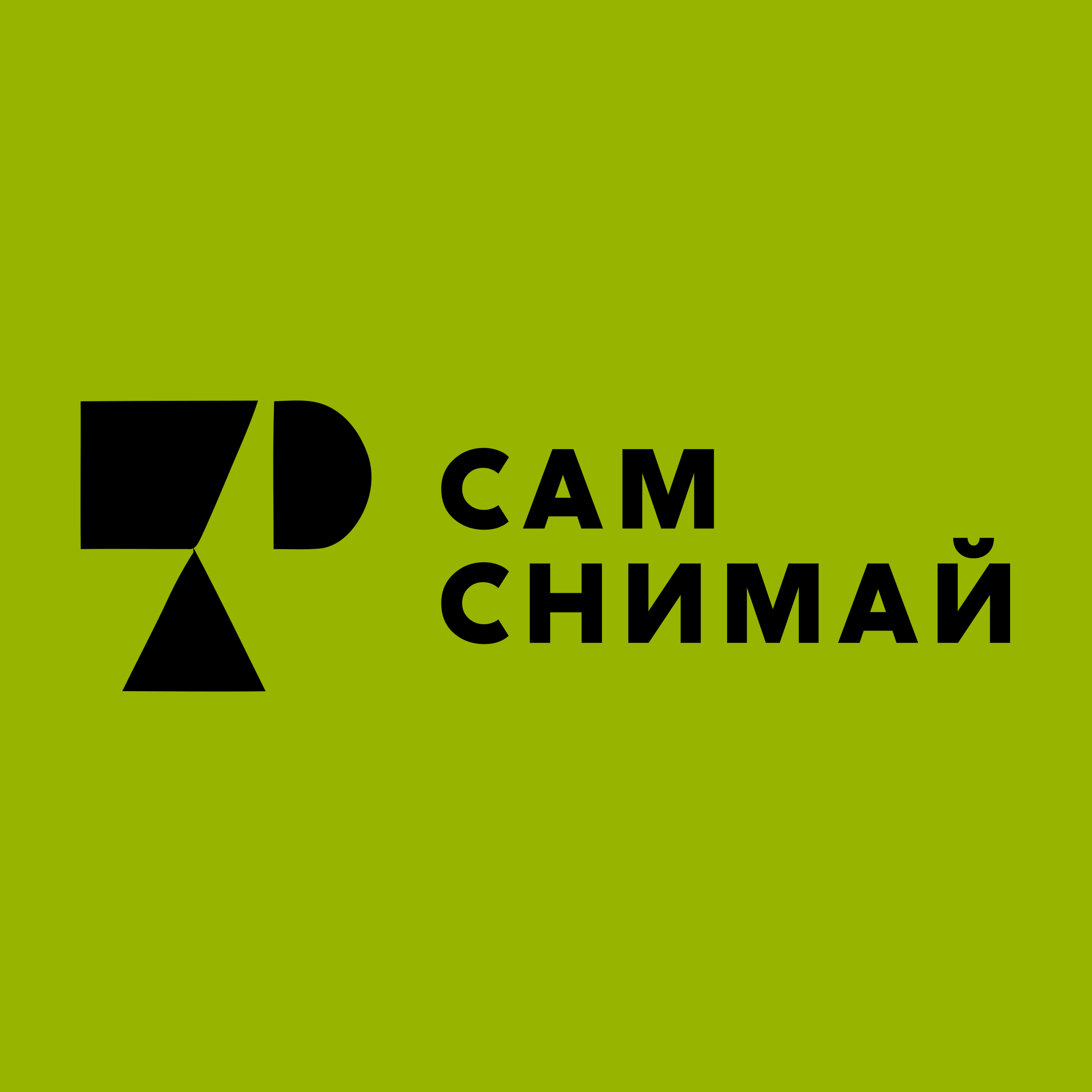 Company logo «Сам снимай»