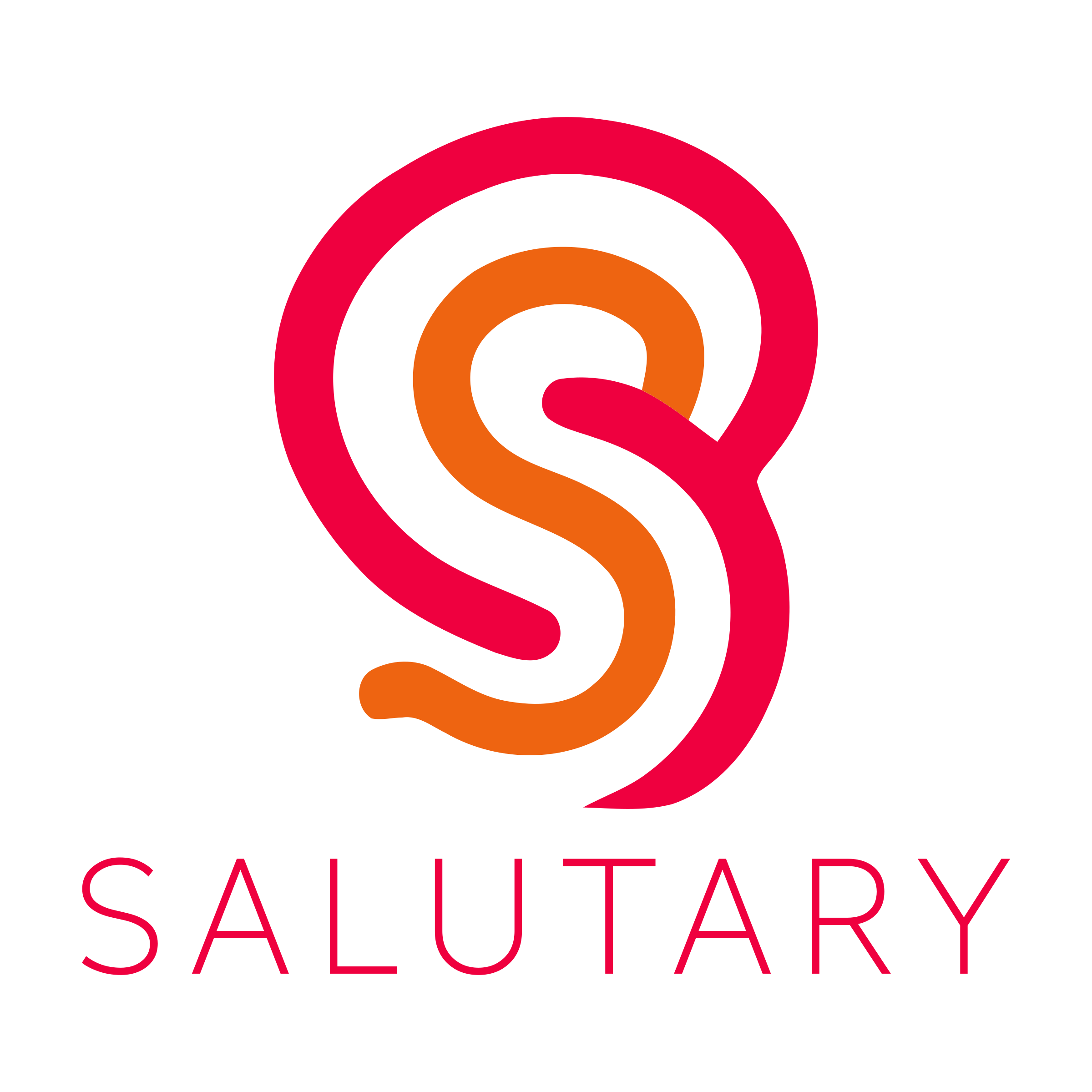 Company logo «salutary»