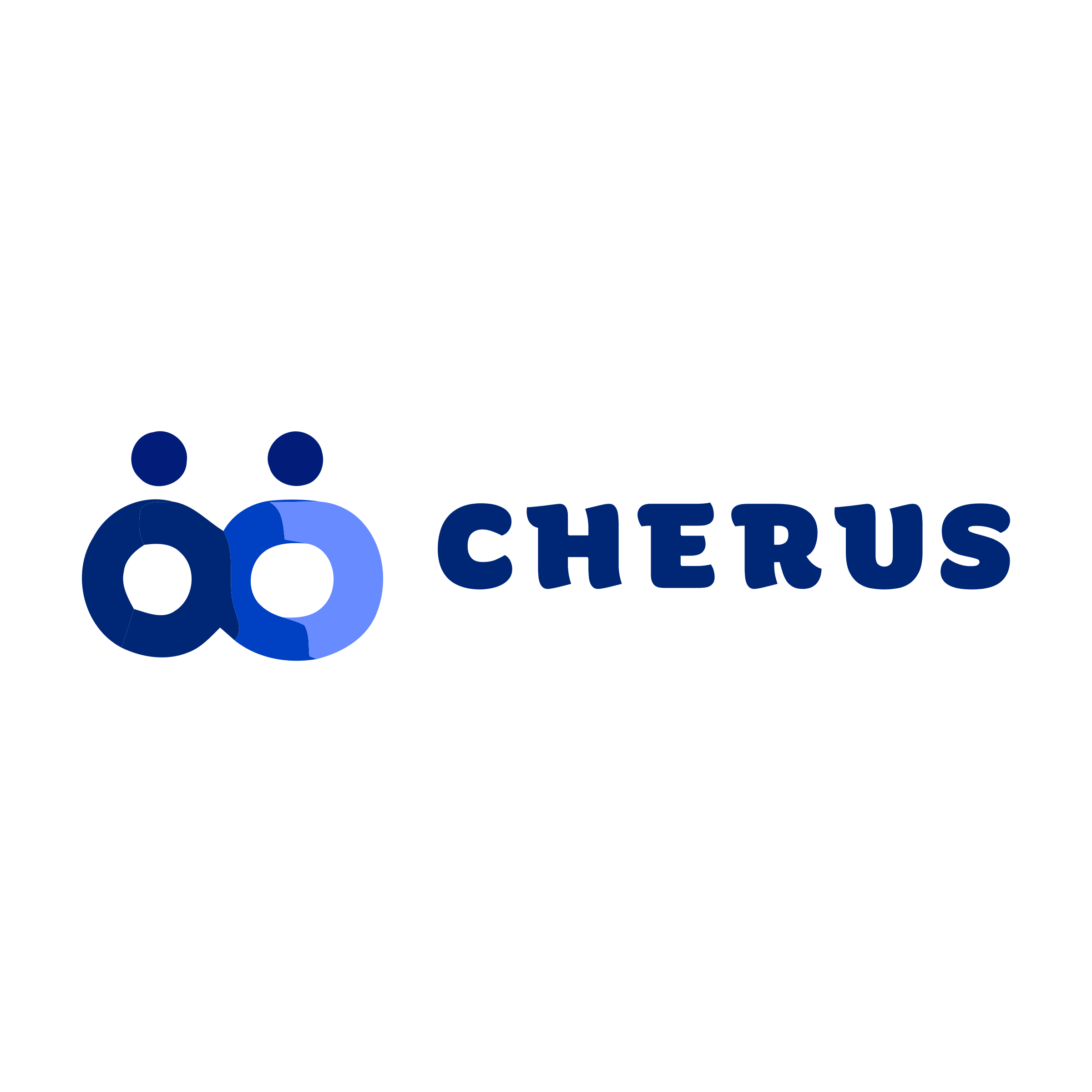 Company logo «cherus»