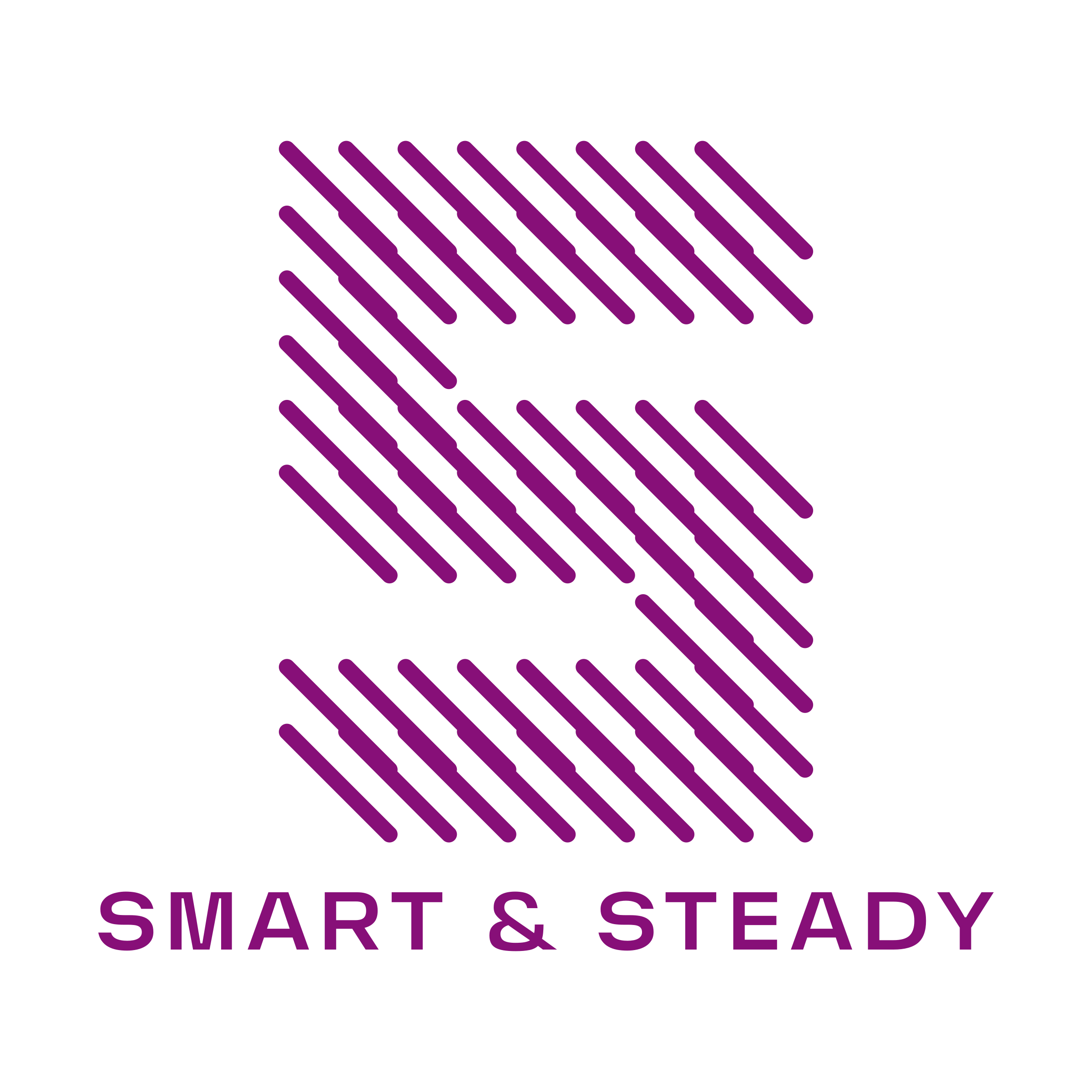 Company logo «Smart & Steady»