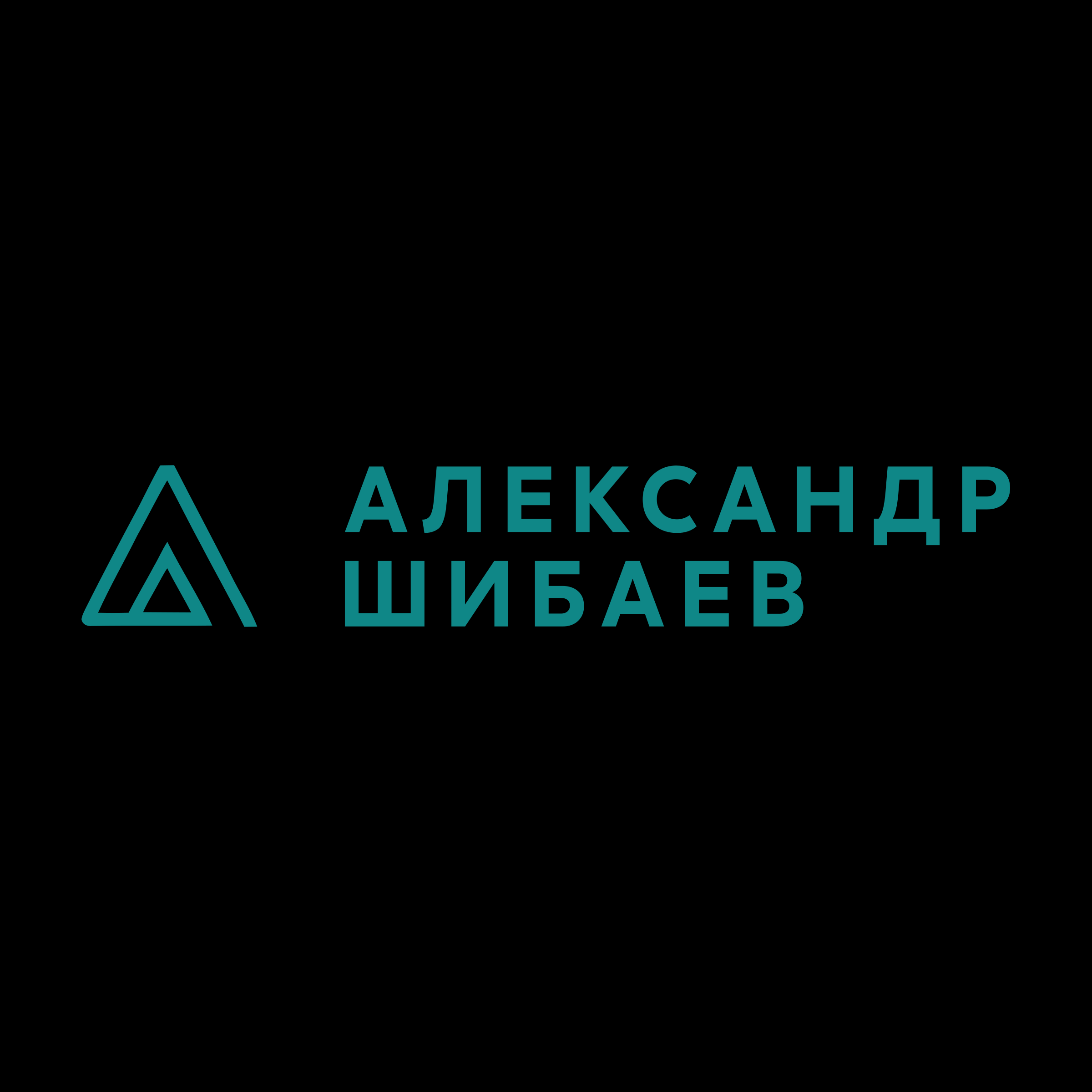 Company logo «Александр Шибаев»