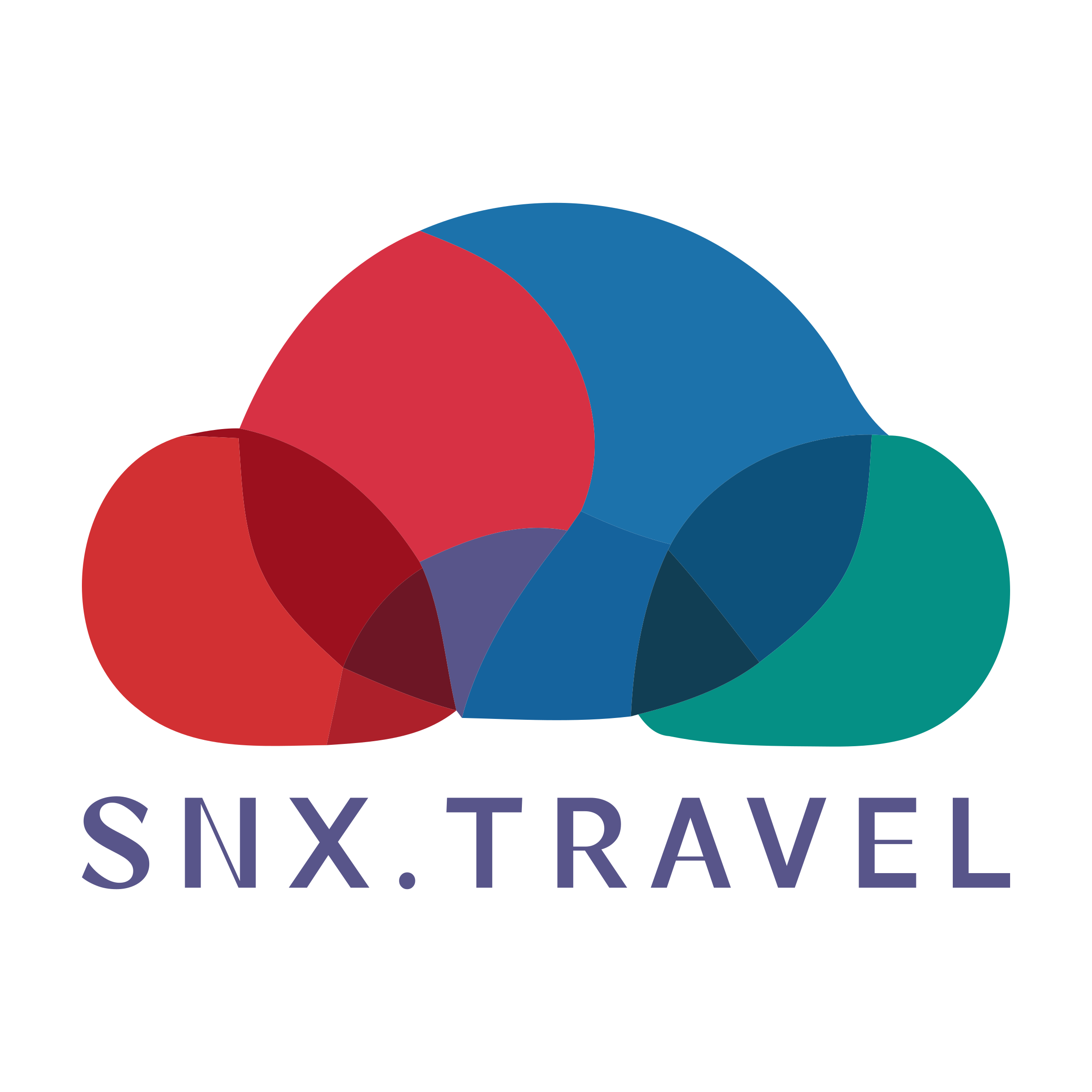 Company logo «snx.travel»