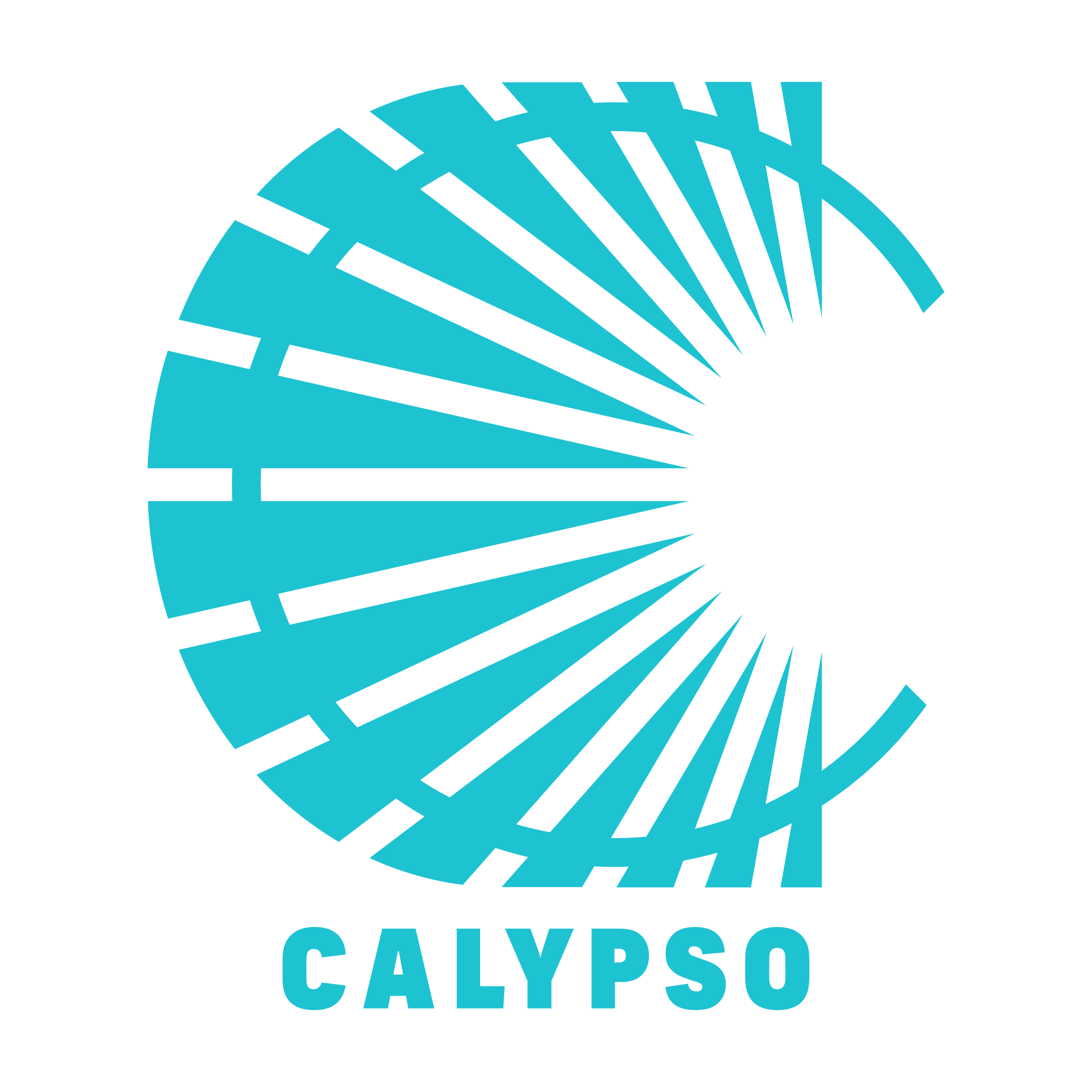 Company logo «Calypso»