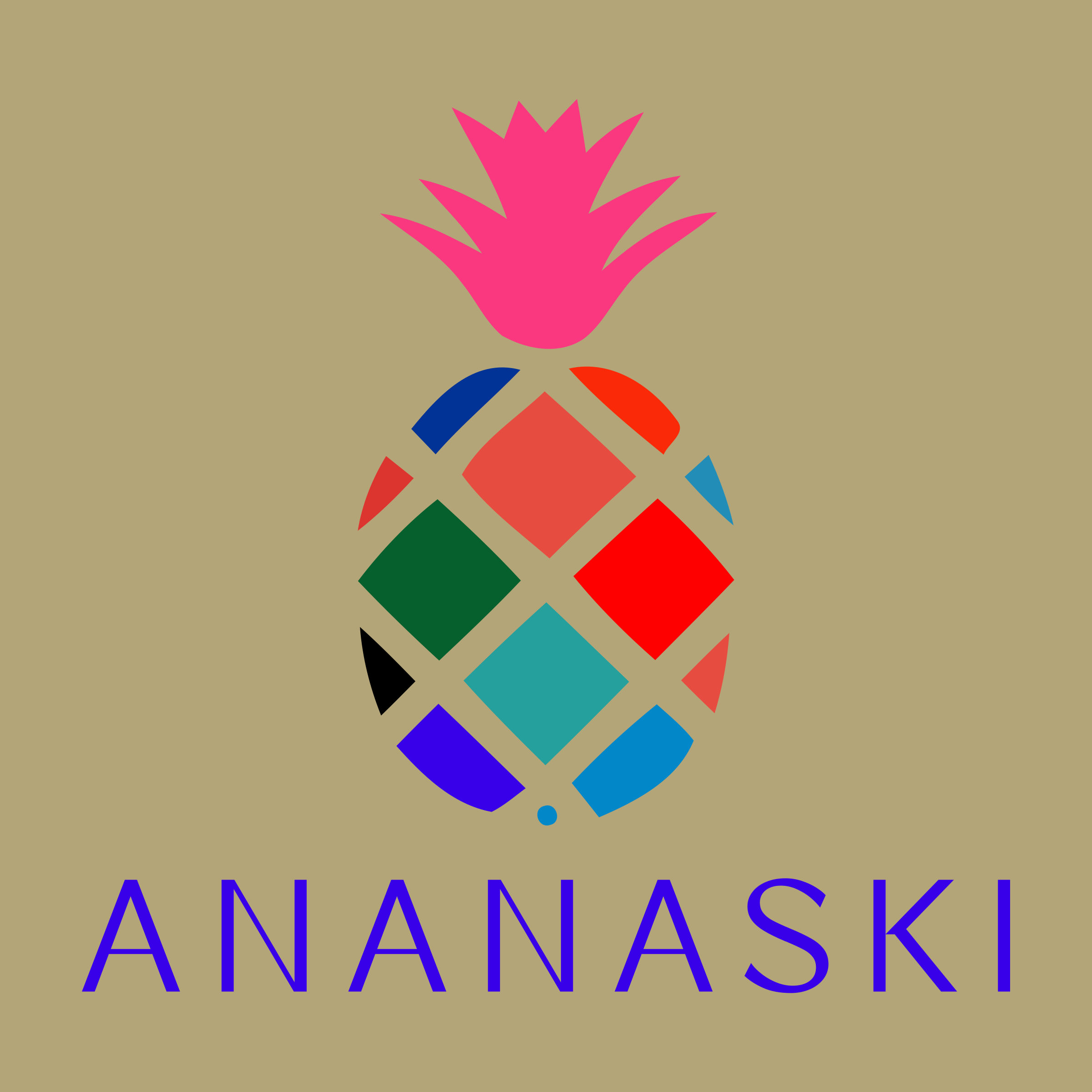 Логотип компании «ananaski»