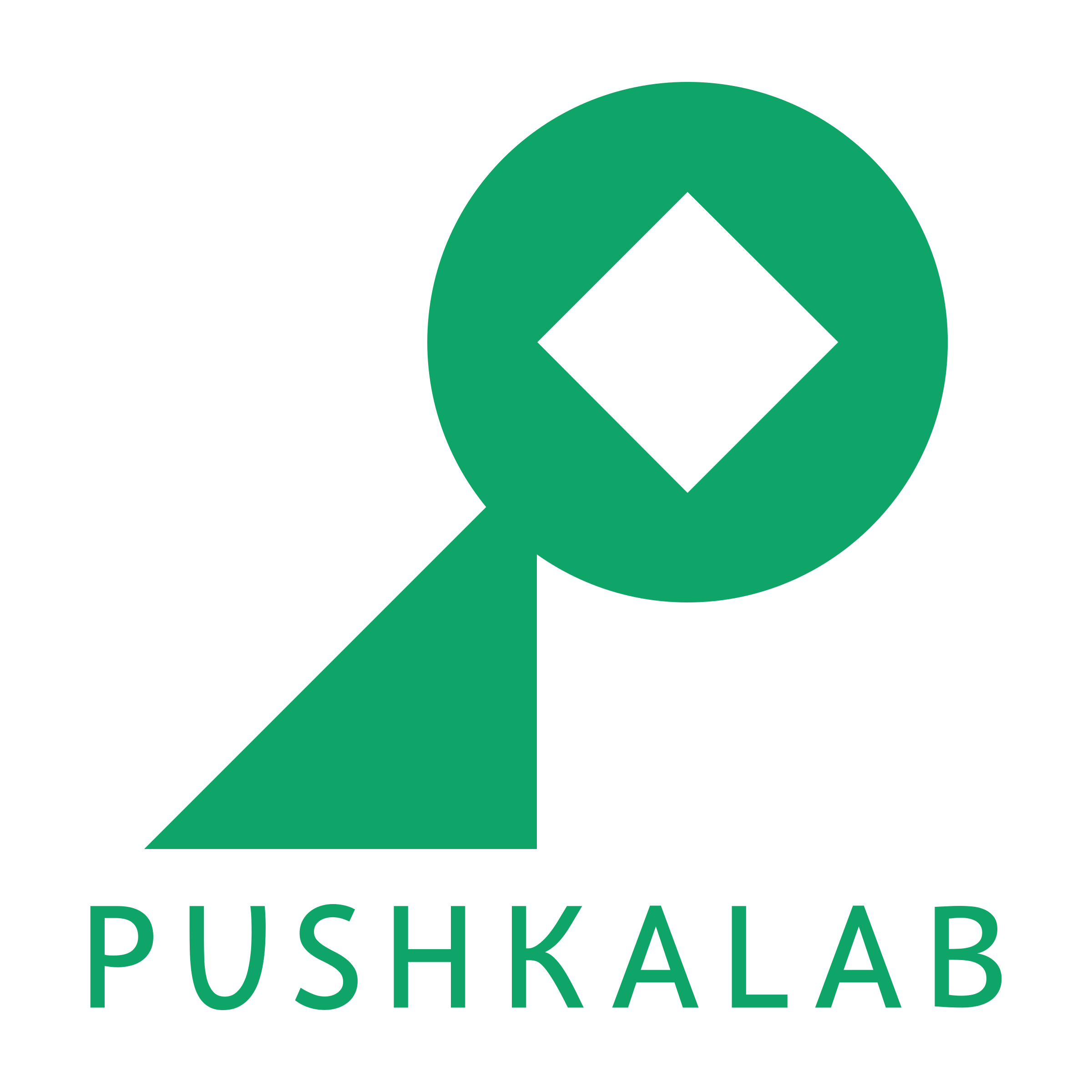 Company logo «Pushkalab»