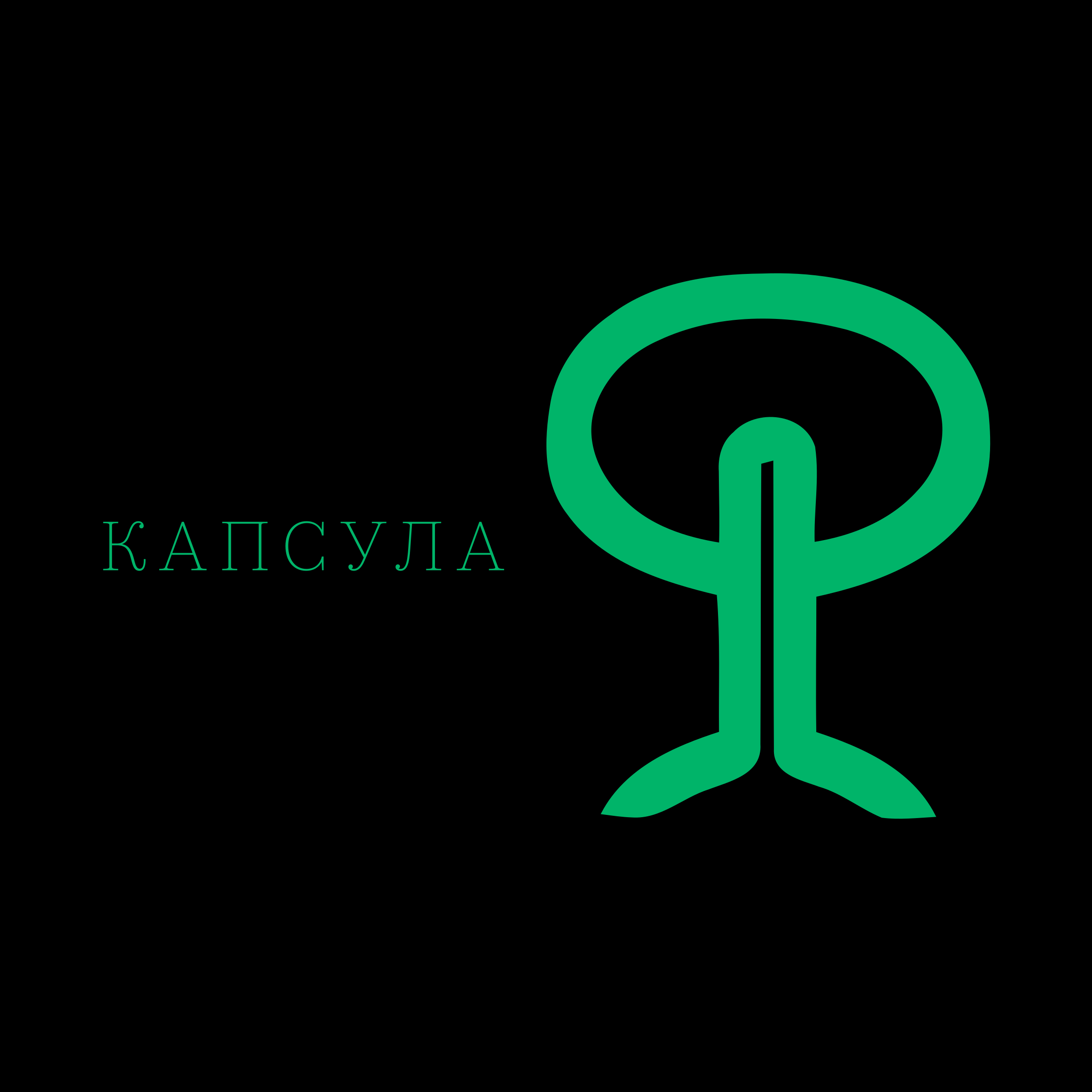 Company logo «КАПСУЛА»