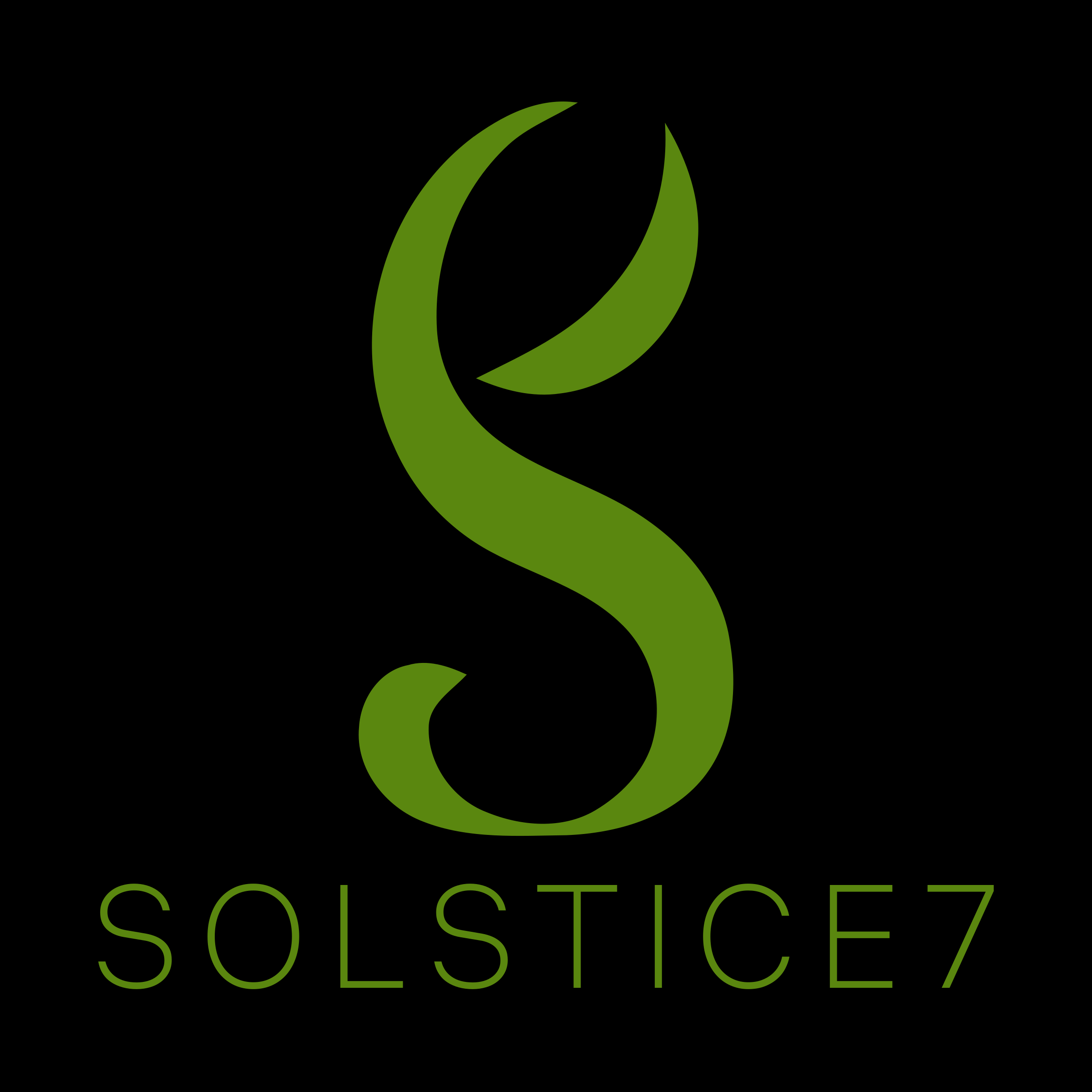 Логотип компании «SOLSTICE7»