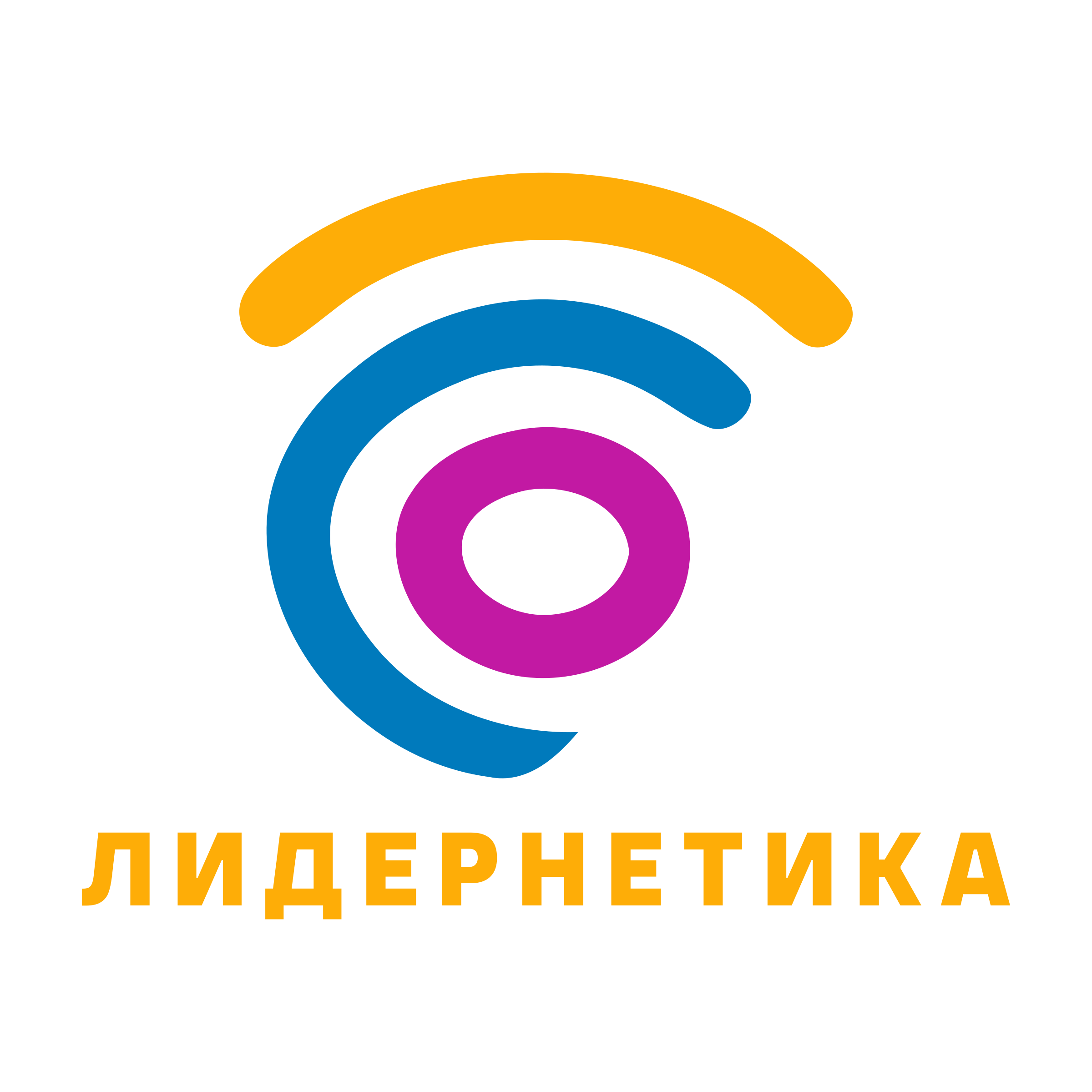 Логотип компании «Лидернетика»