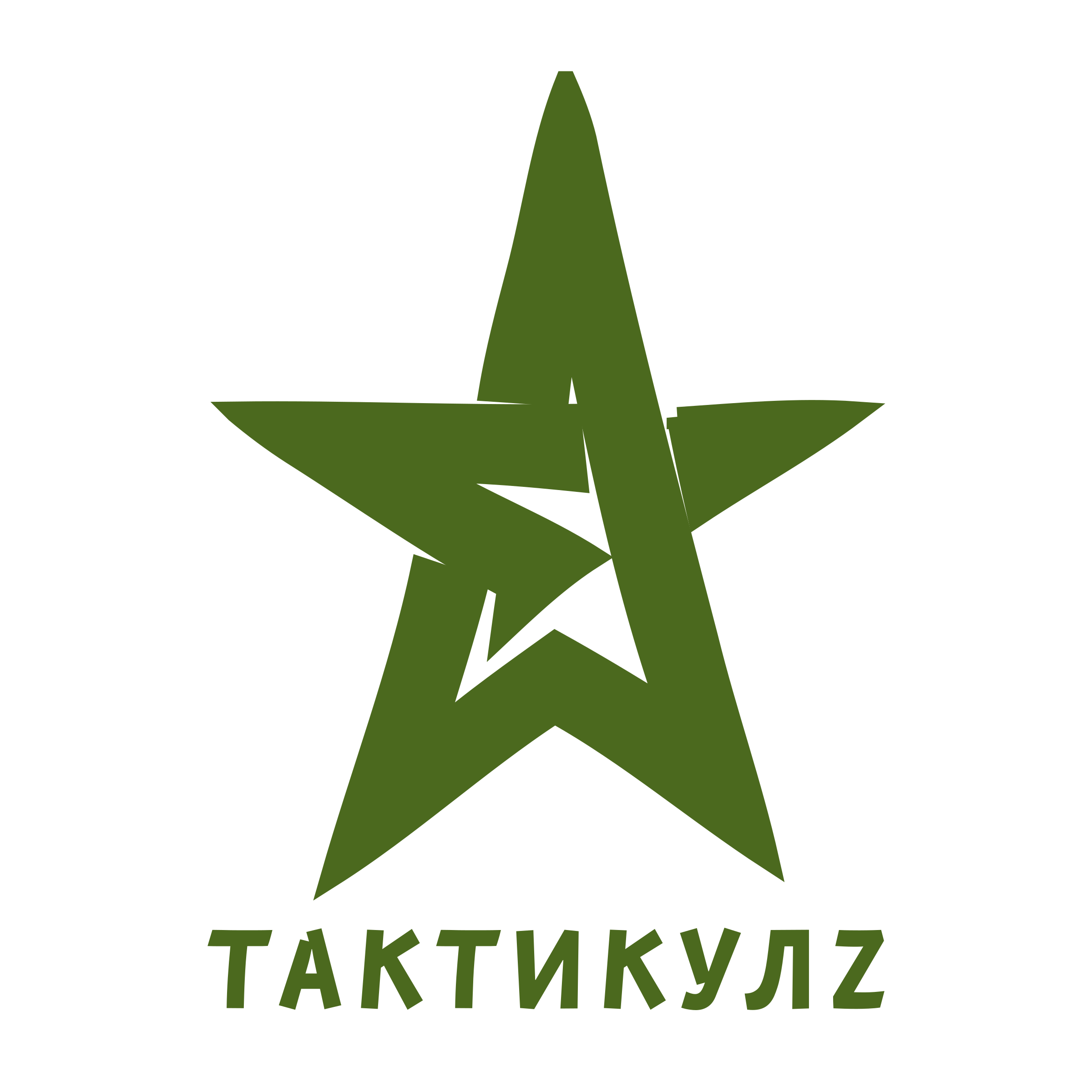 Company logo «ТактикулZ»