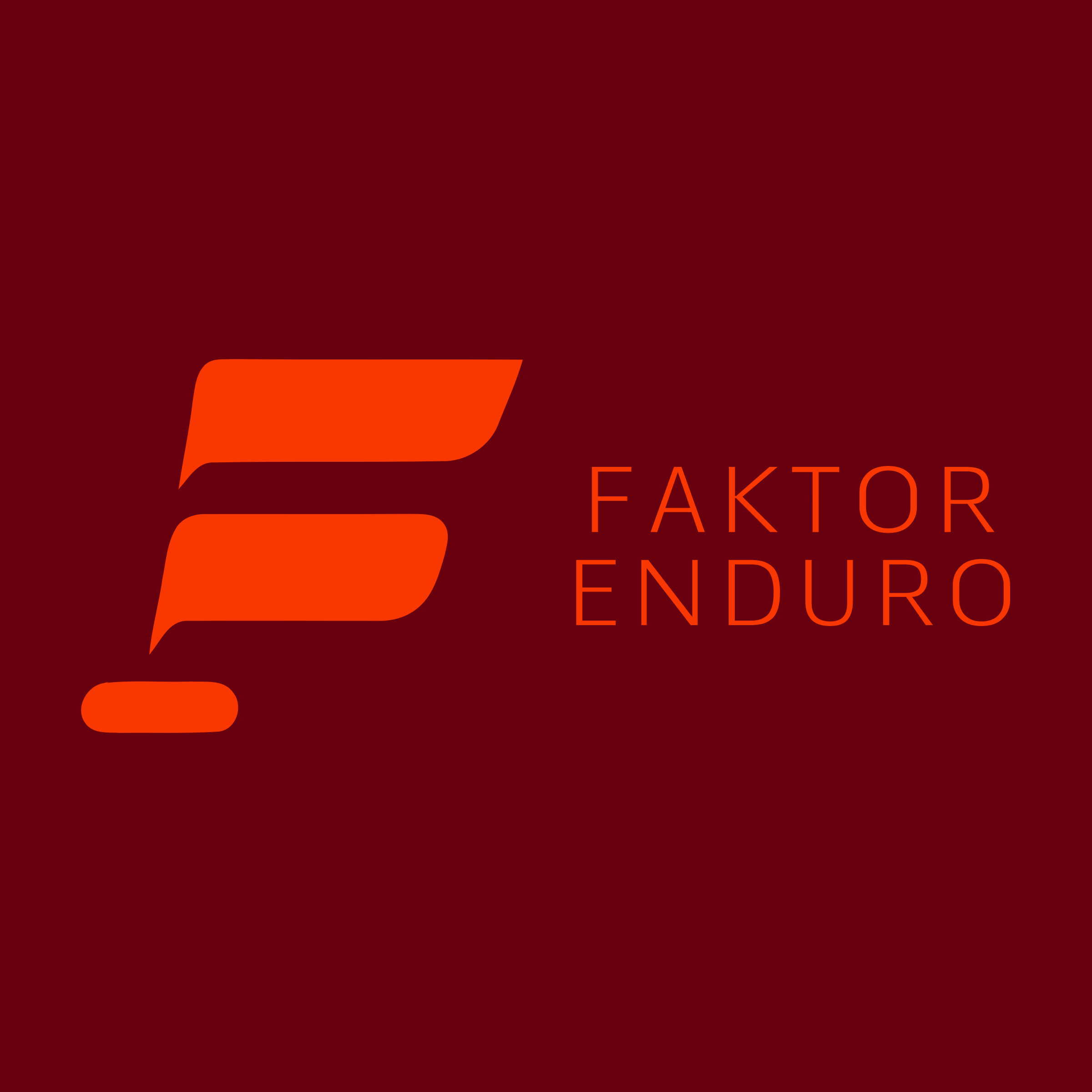 Company logo «Faktor Enduro»