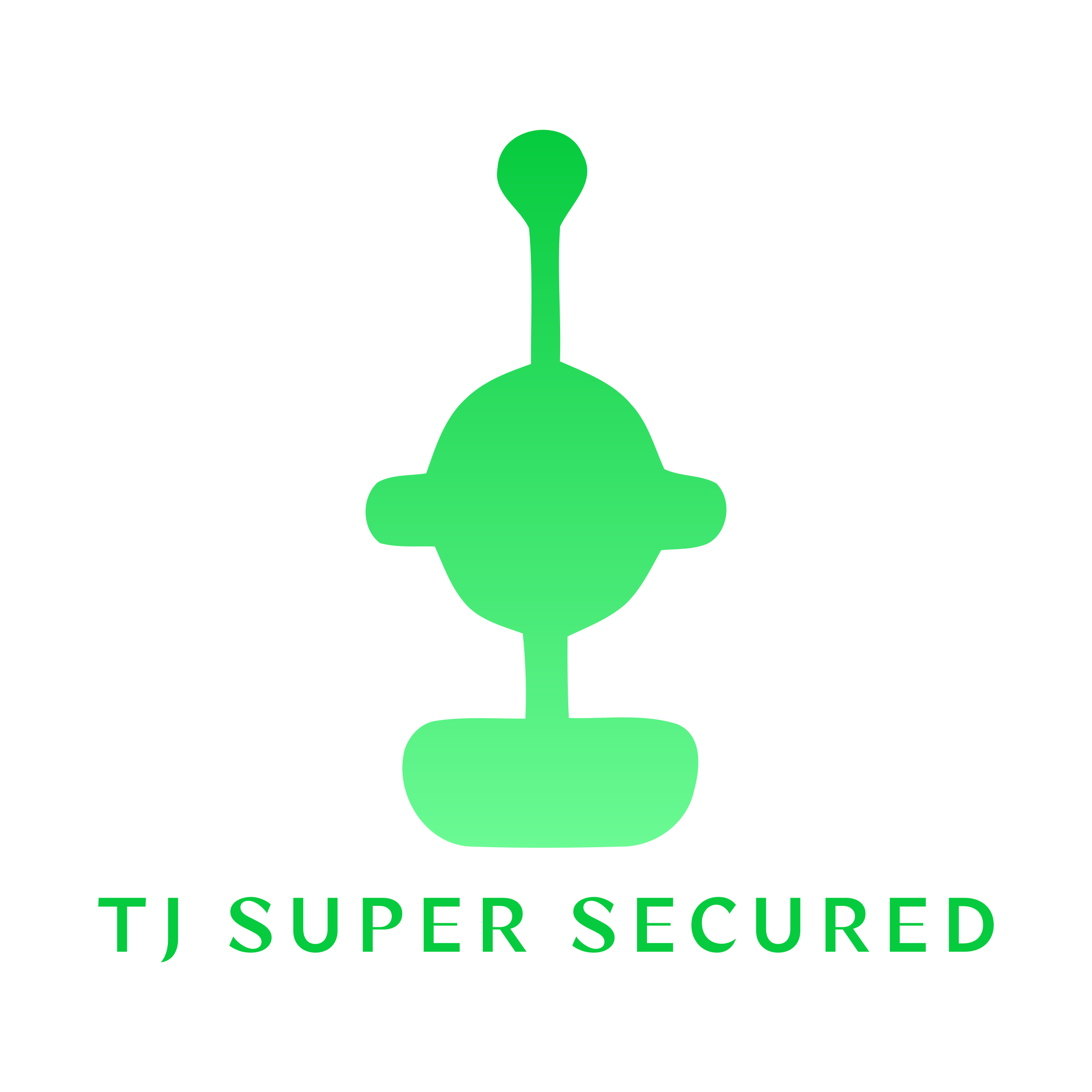 Company logo «TJ Super Secured»