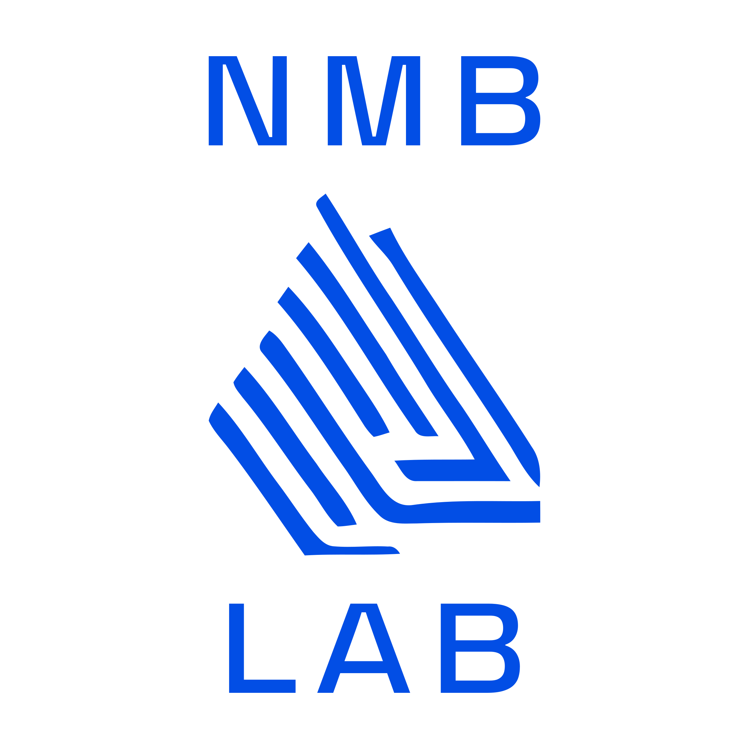 Логотип компании «NMB Lab»