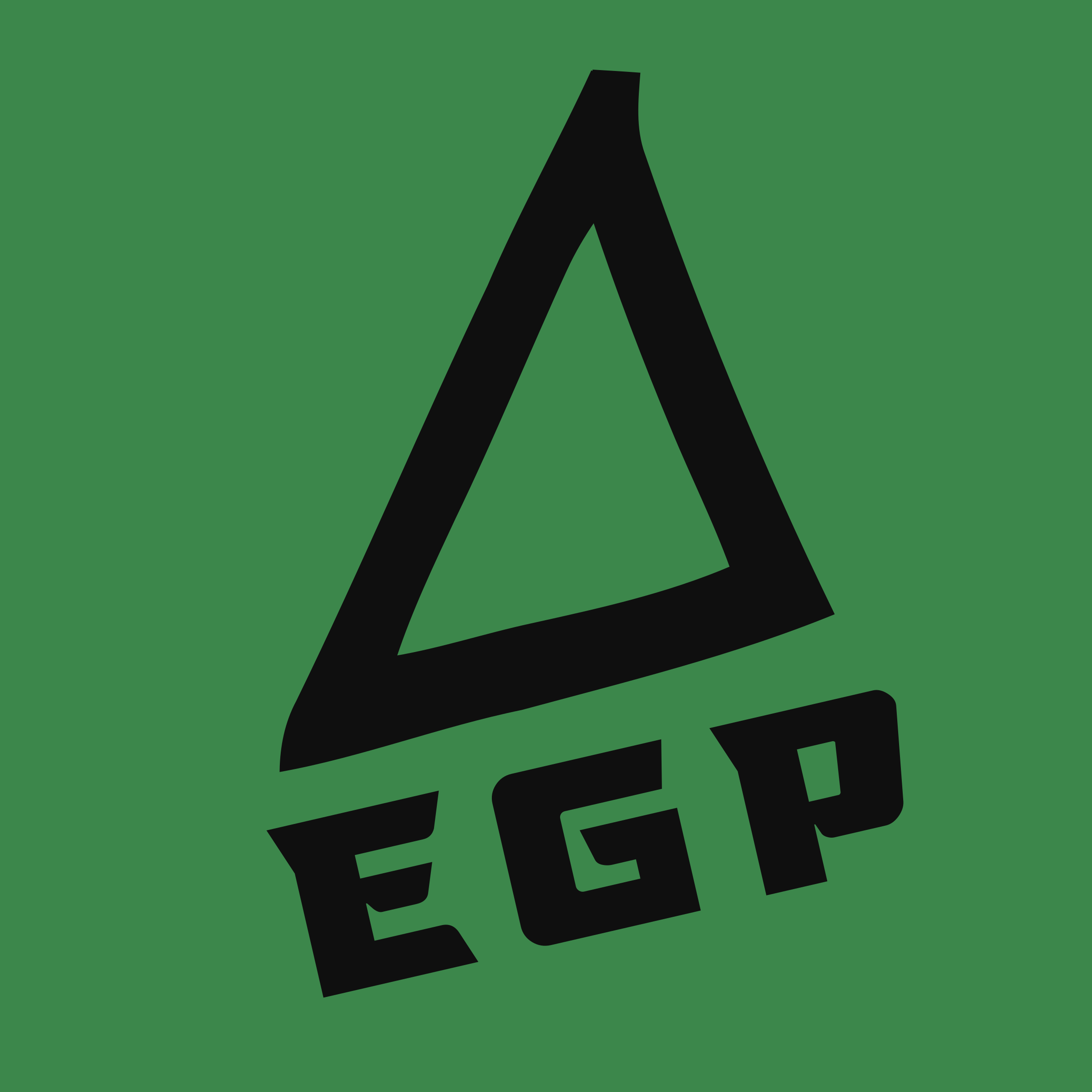 Company logo «EGP»