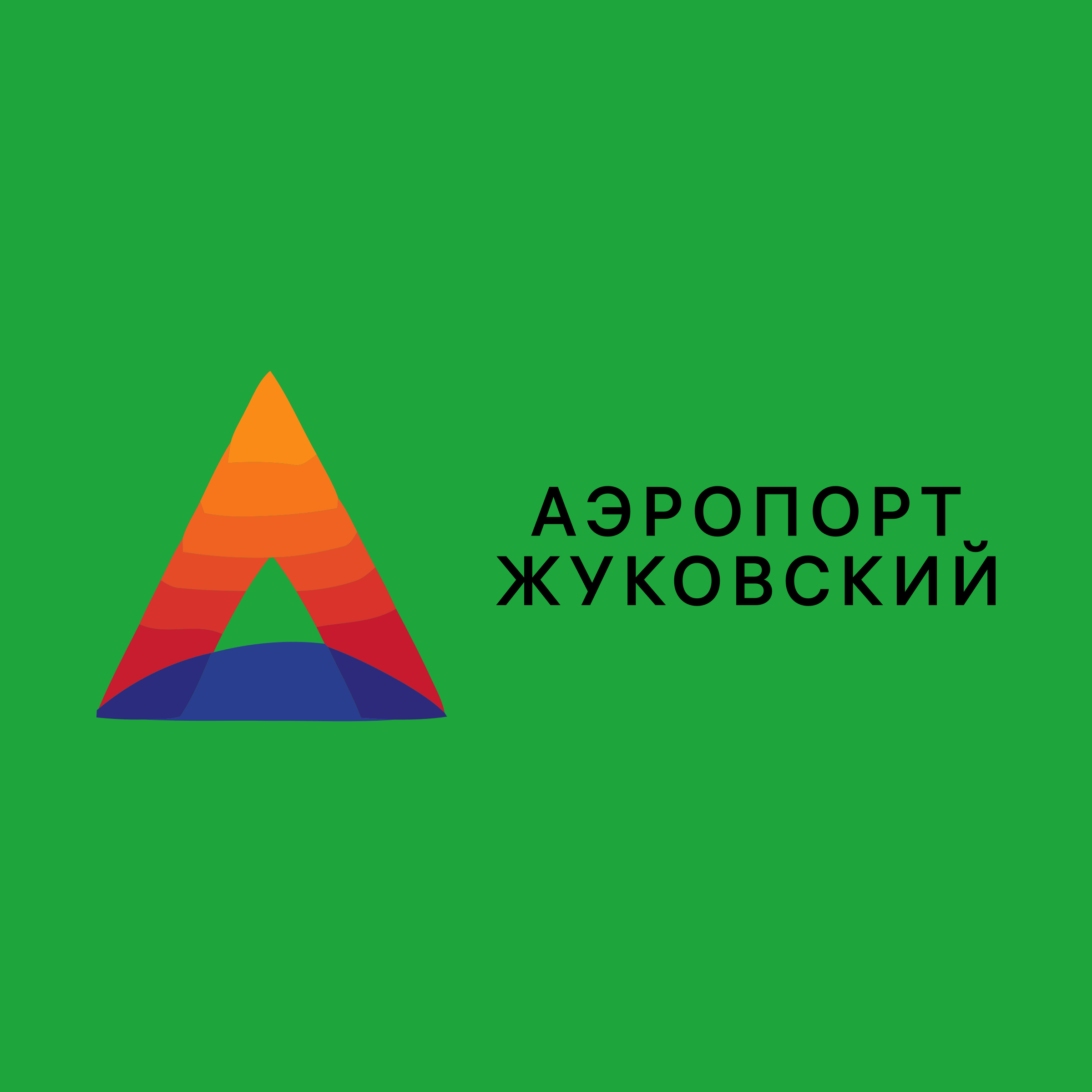 Company logo «Аэропорт Жуковский»