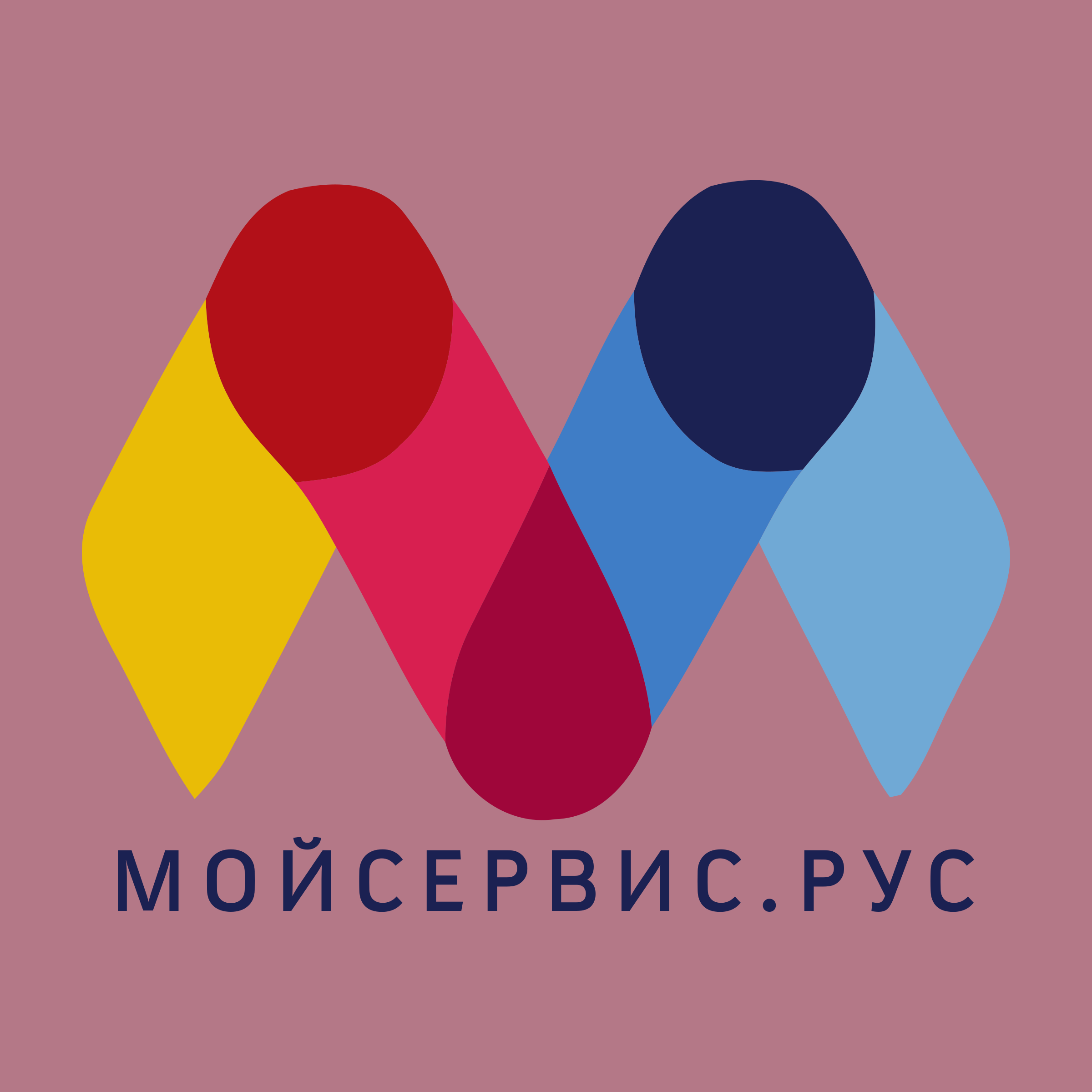 Company logo «Мойсервис.рус»