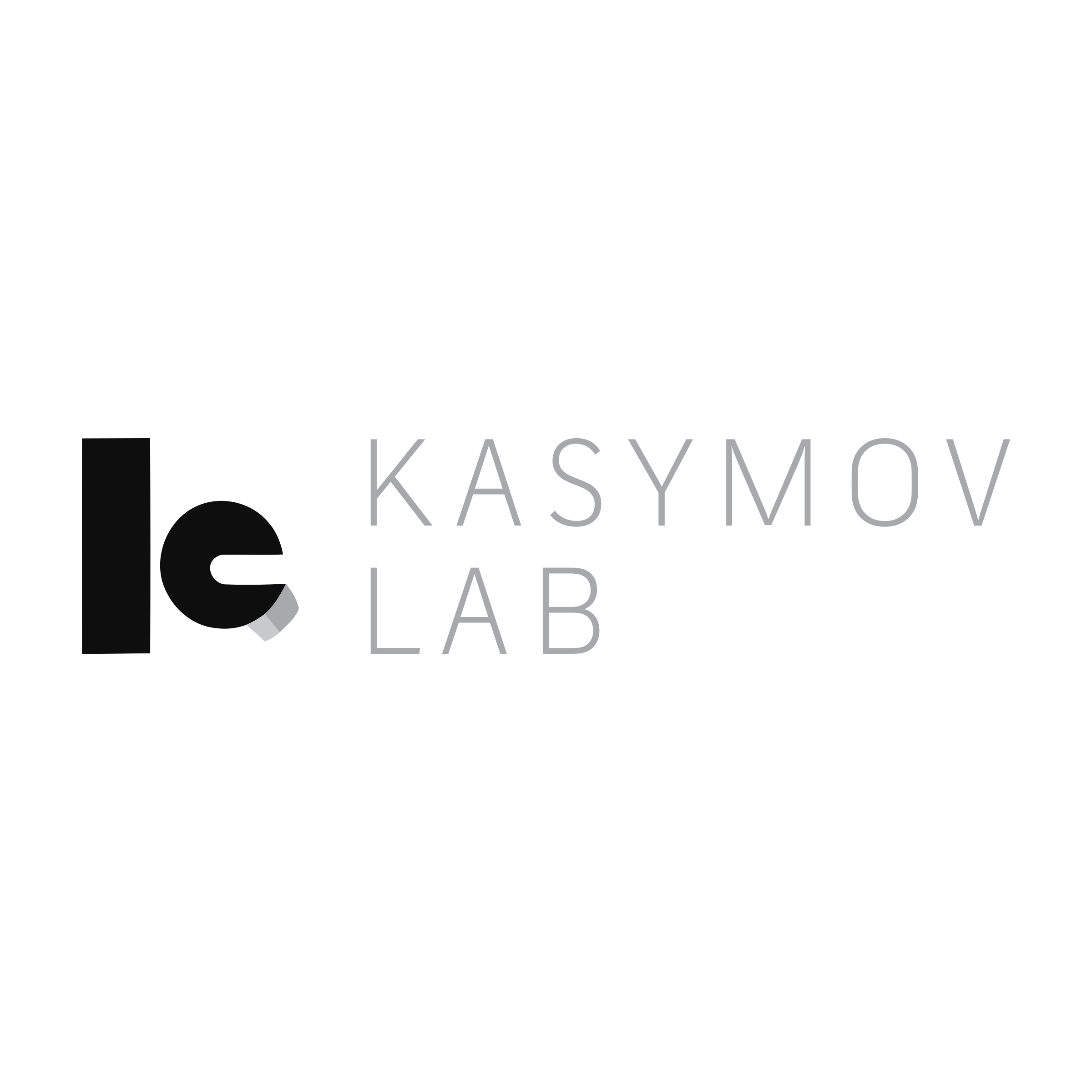 Company logo «Kasymov lab»