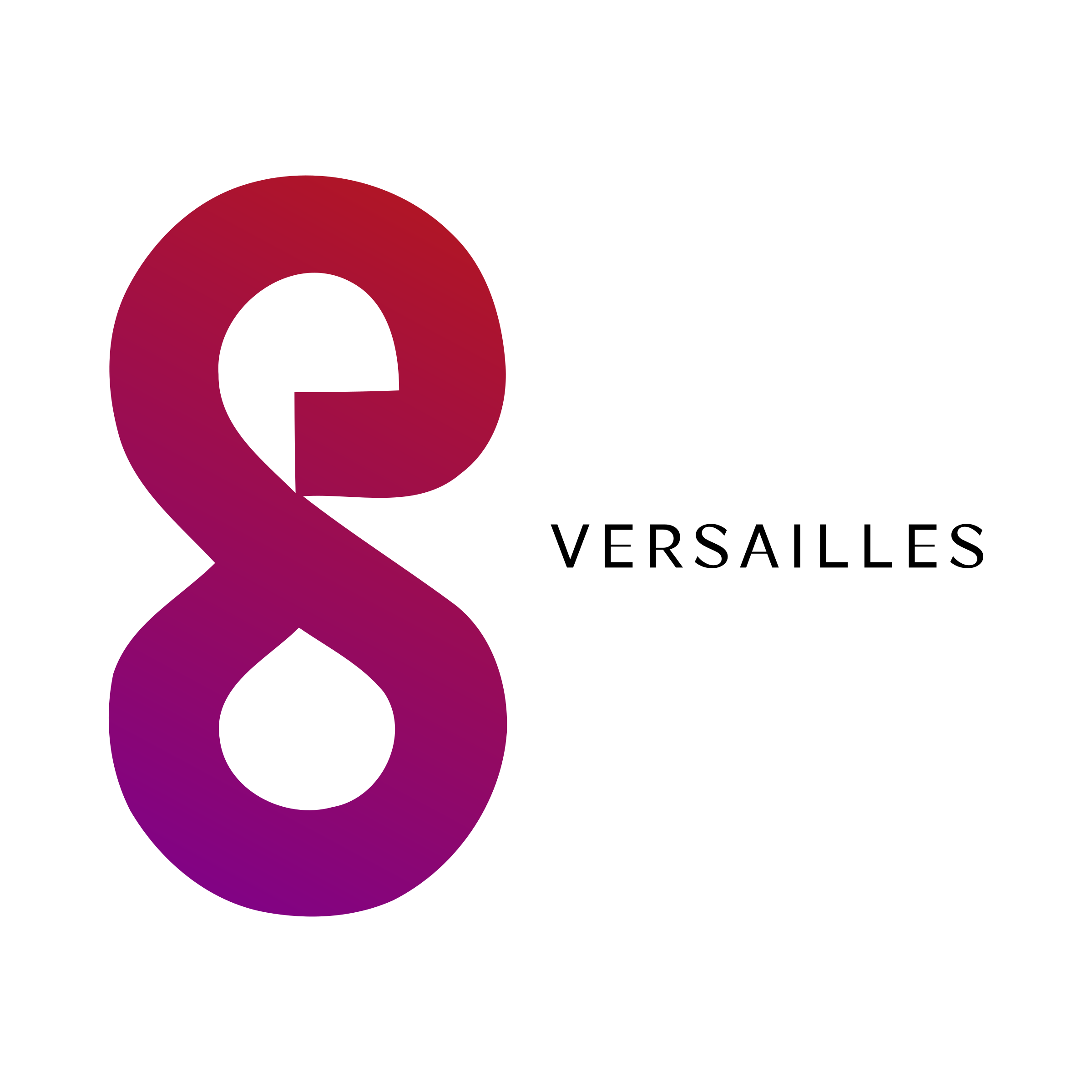 Company logo «Versailles»