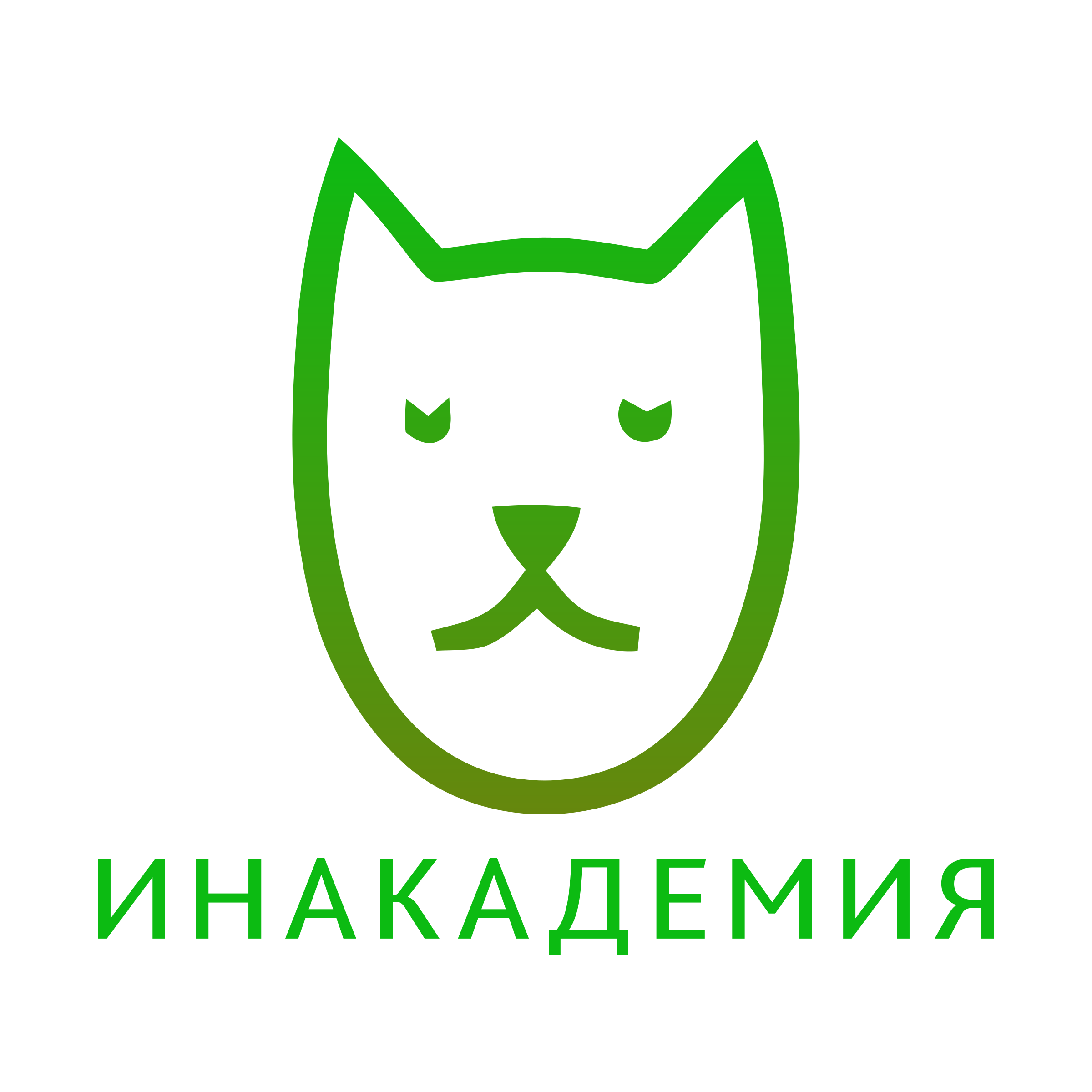 Company logo «инАкадемия»