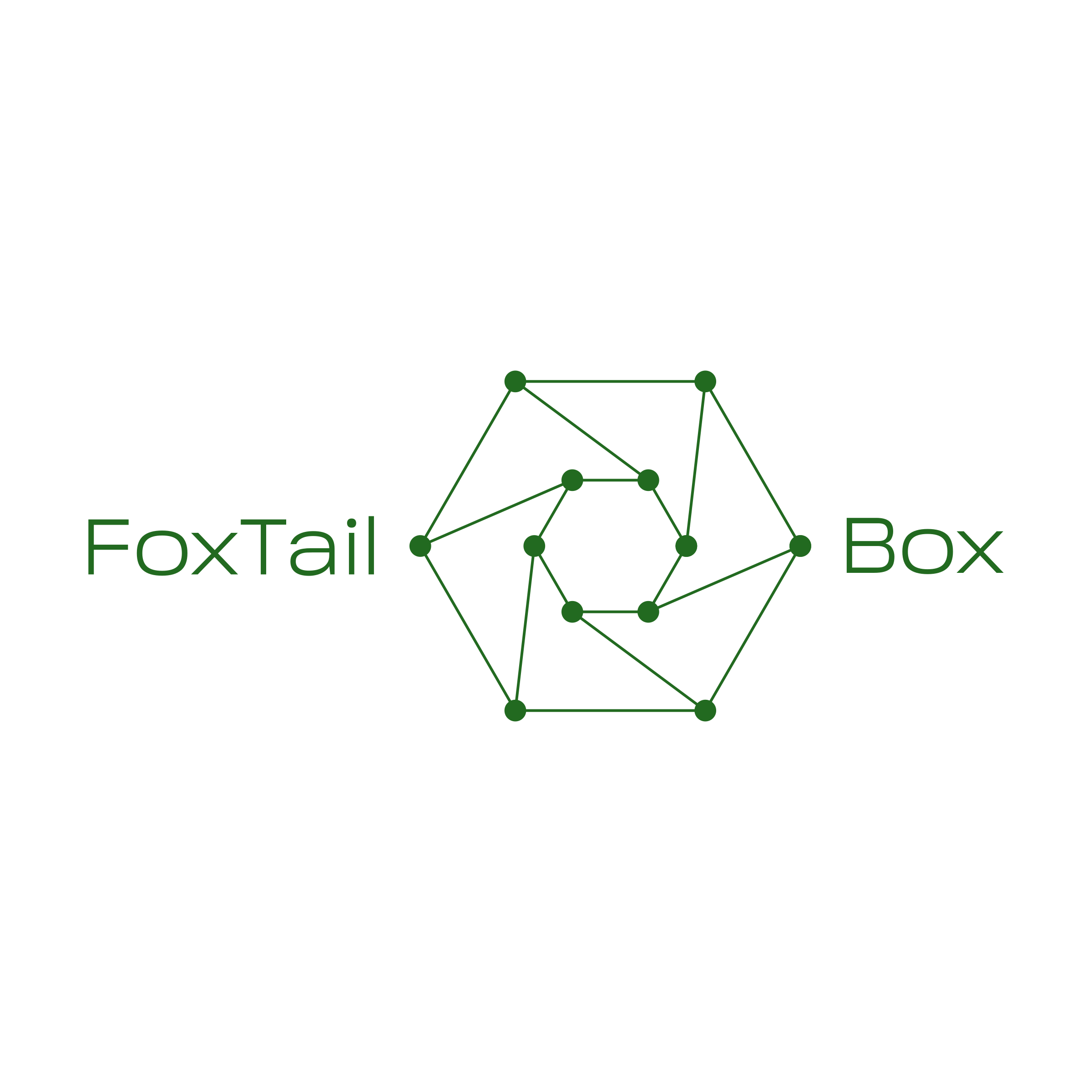 Company logo «FoxTail Box»