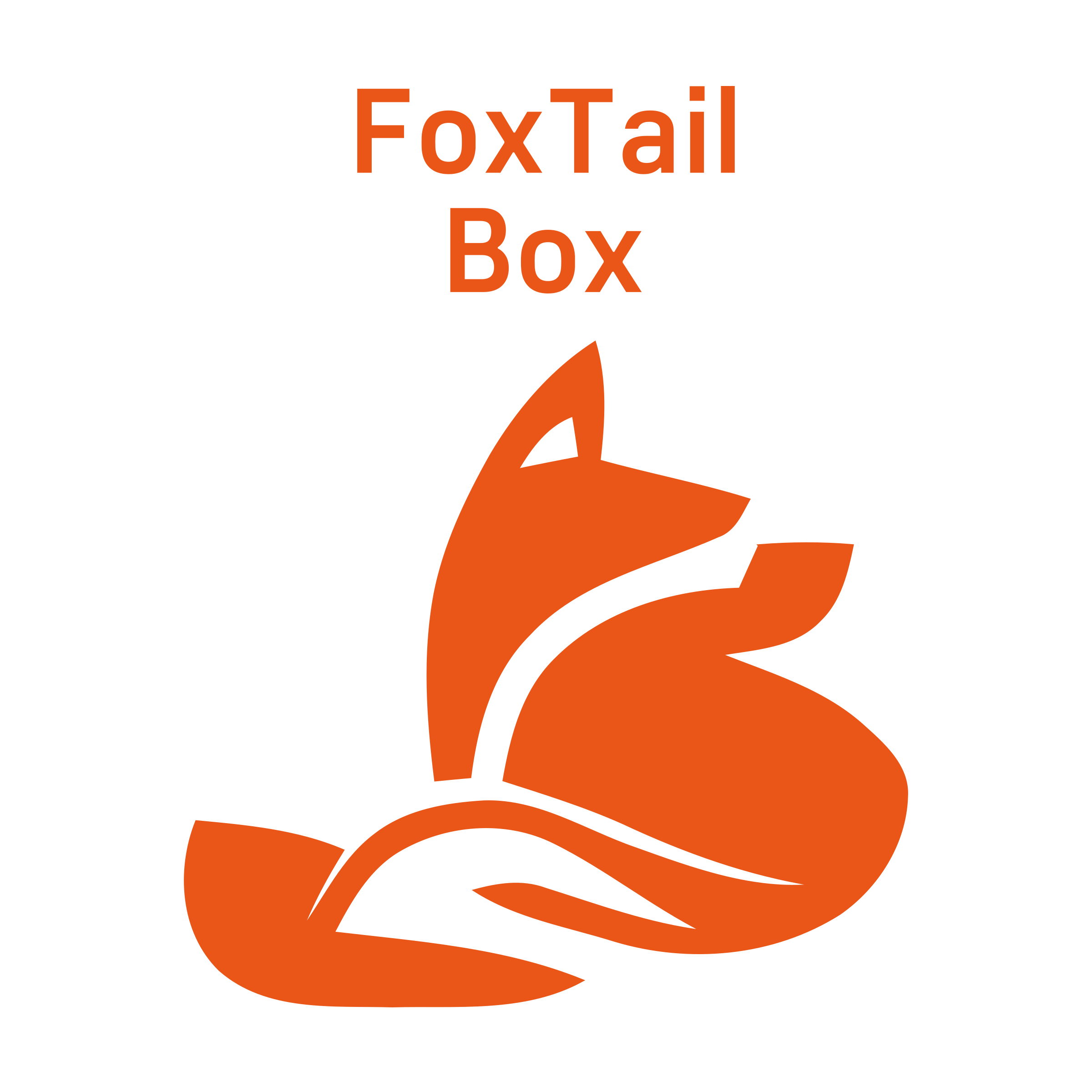 Company logo «FoxTail Box»