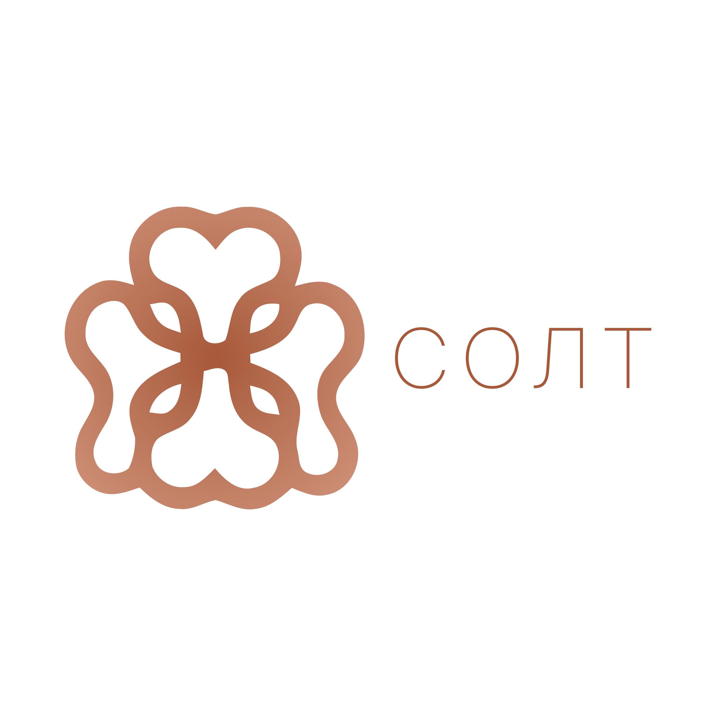 Company logo «СОЛТ»