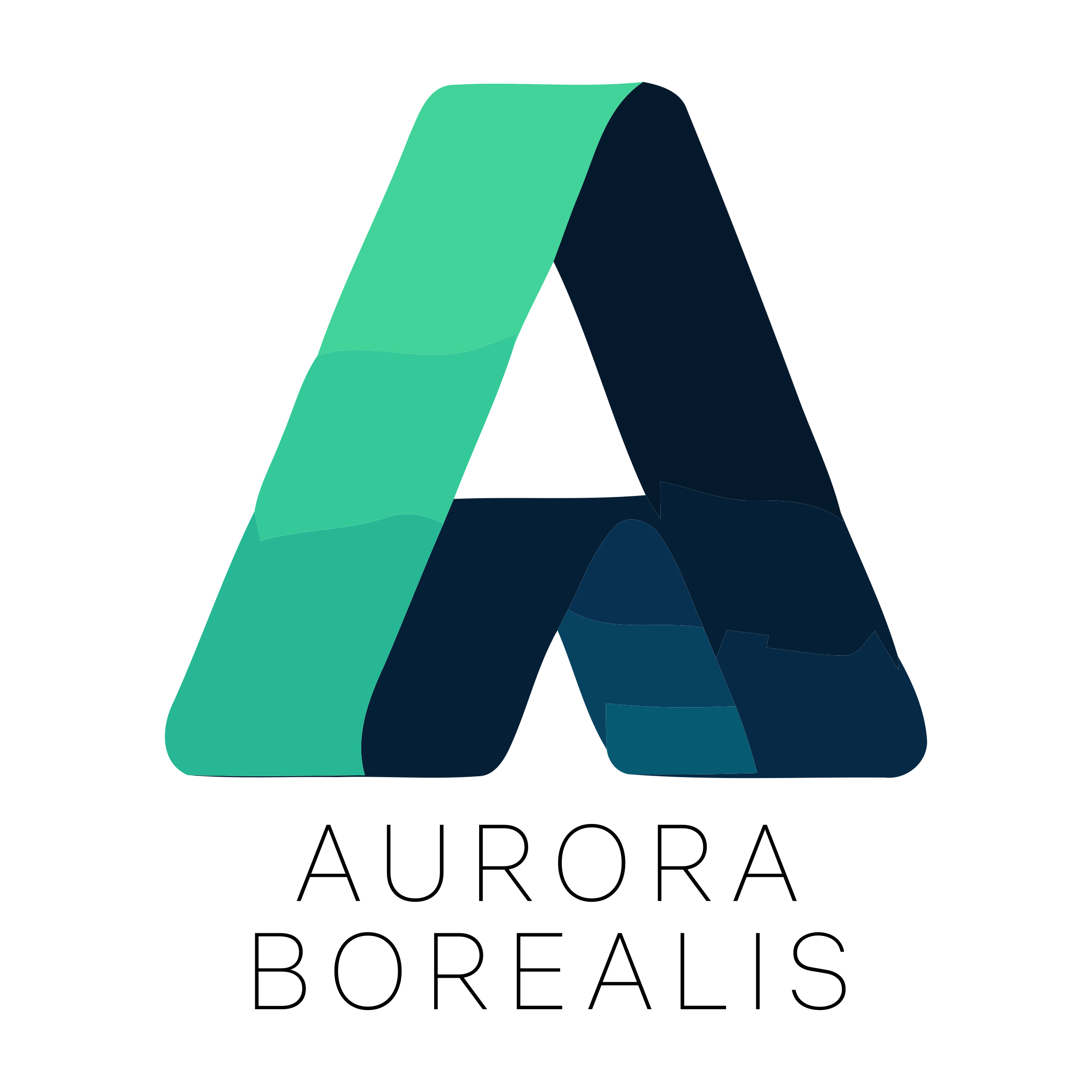 Company logo «Aurora Borealis»