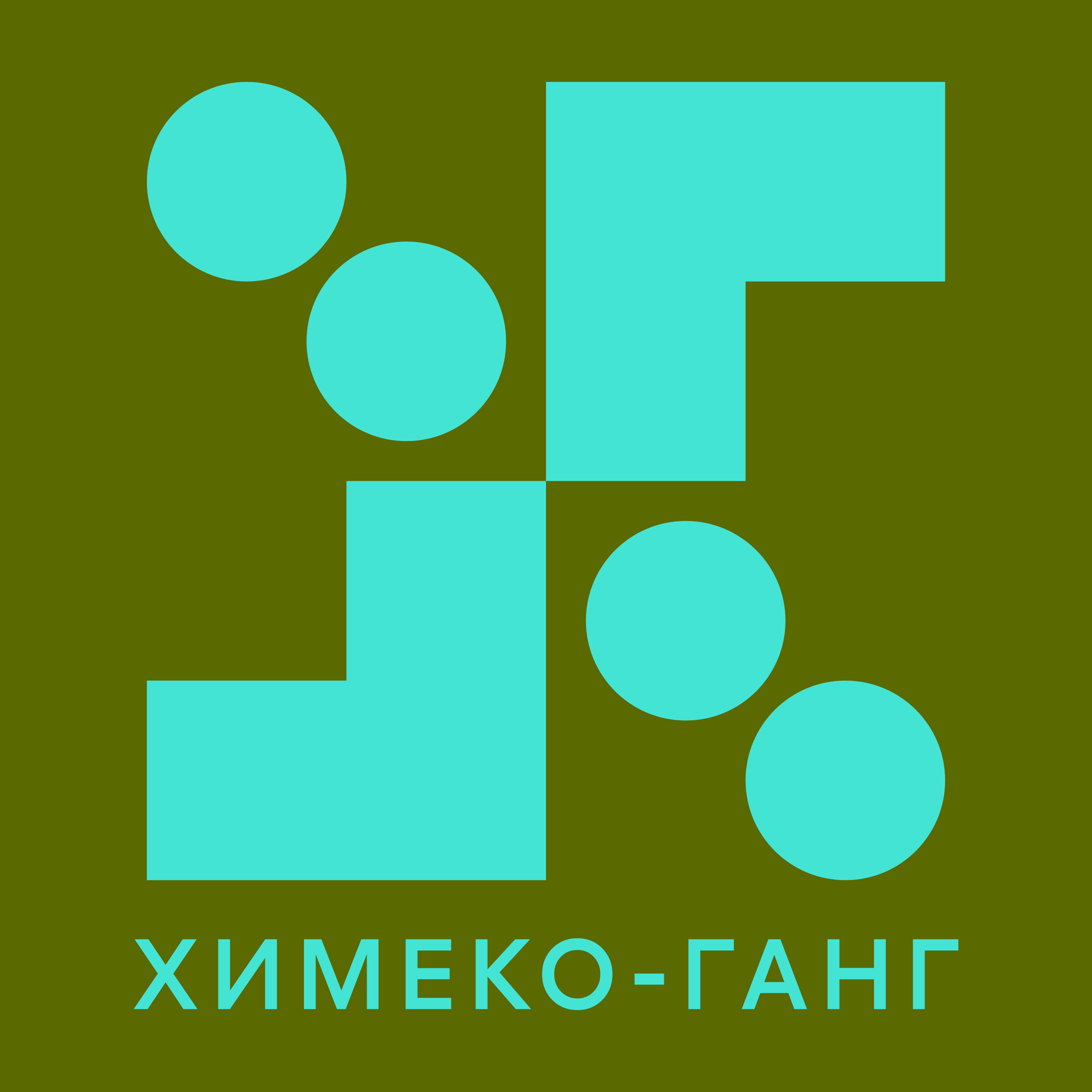 Company logo «Химеко-ГАНГ»