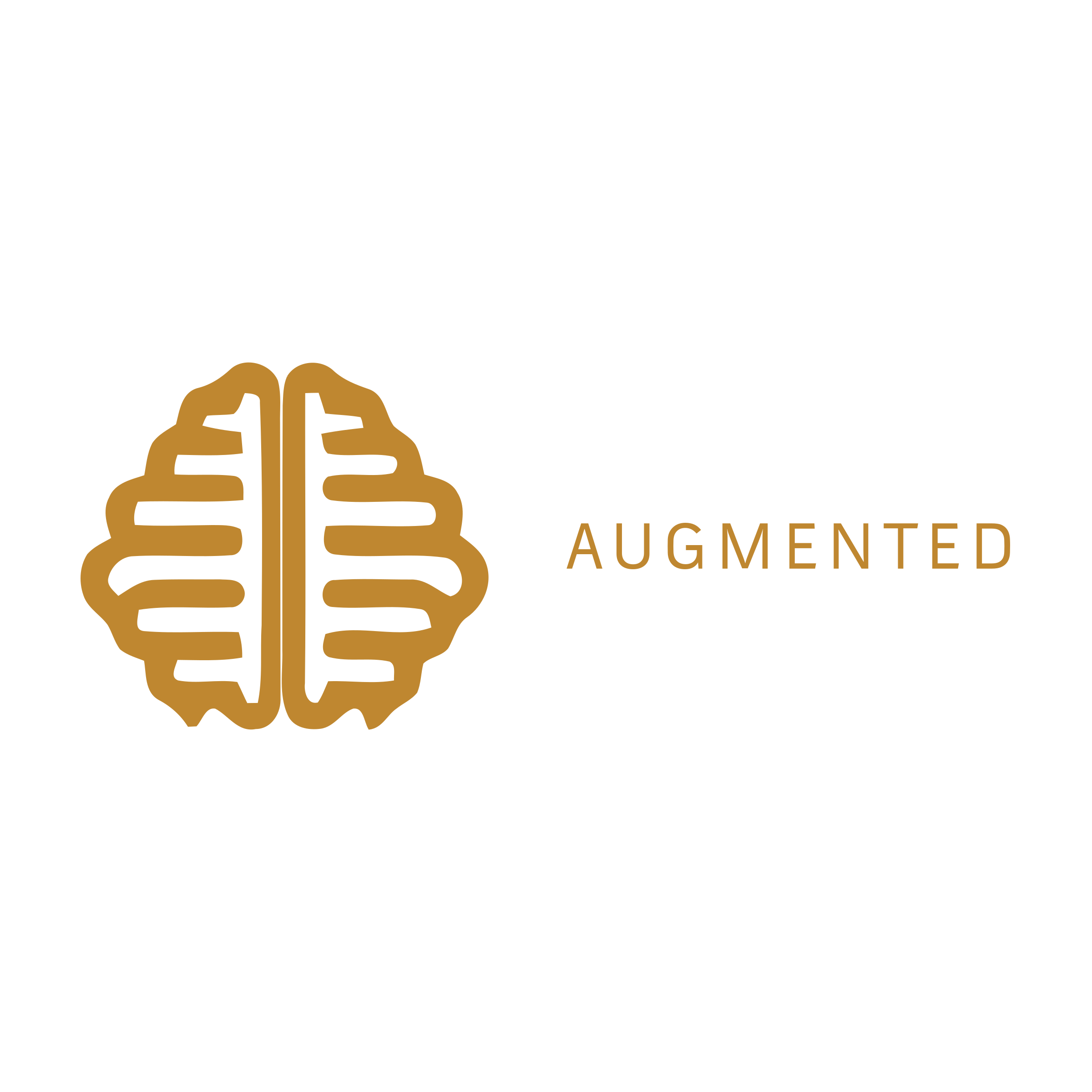 Company logo «Augmented»