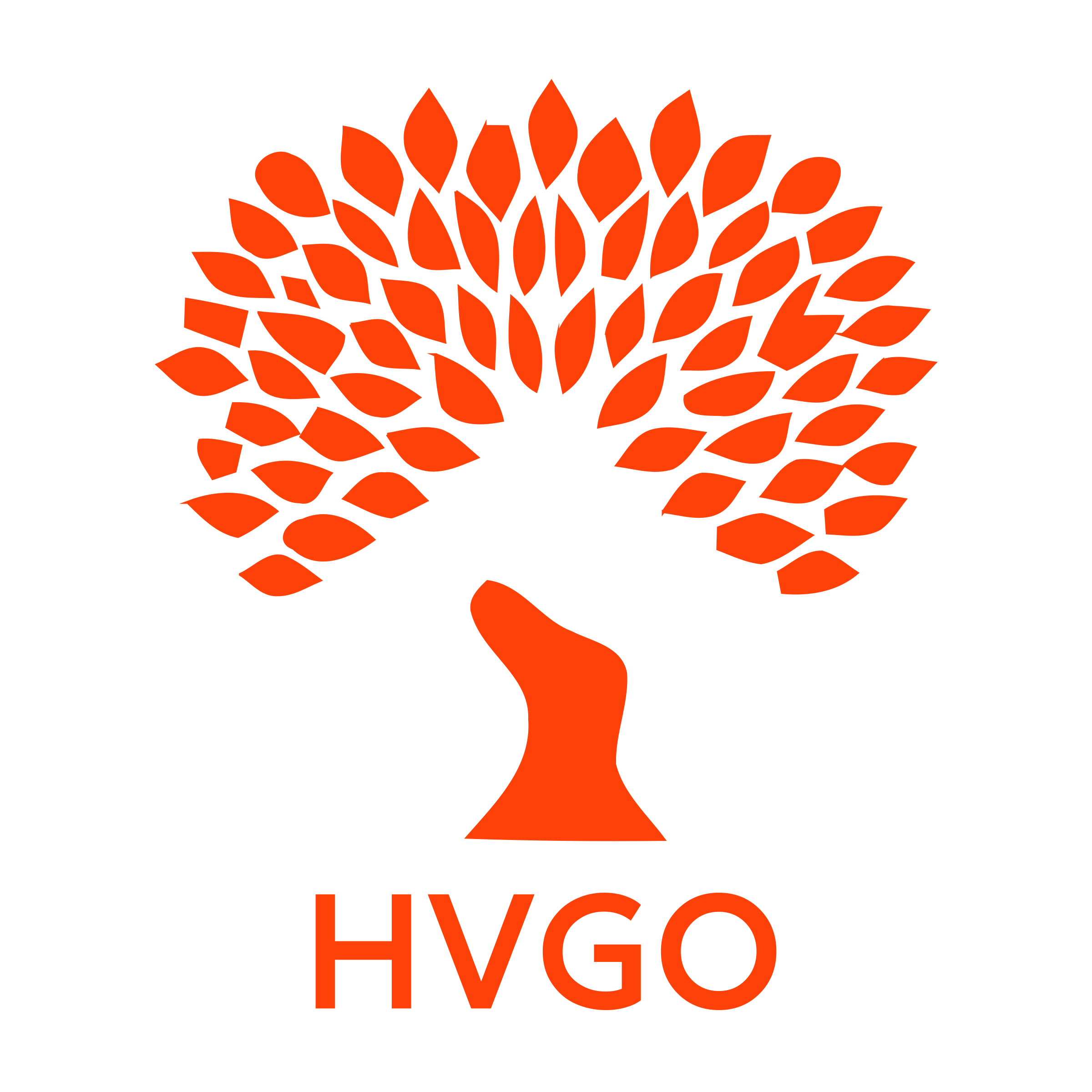 Company logo «HVGO»