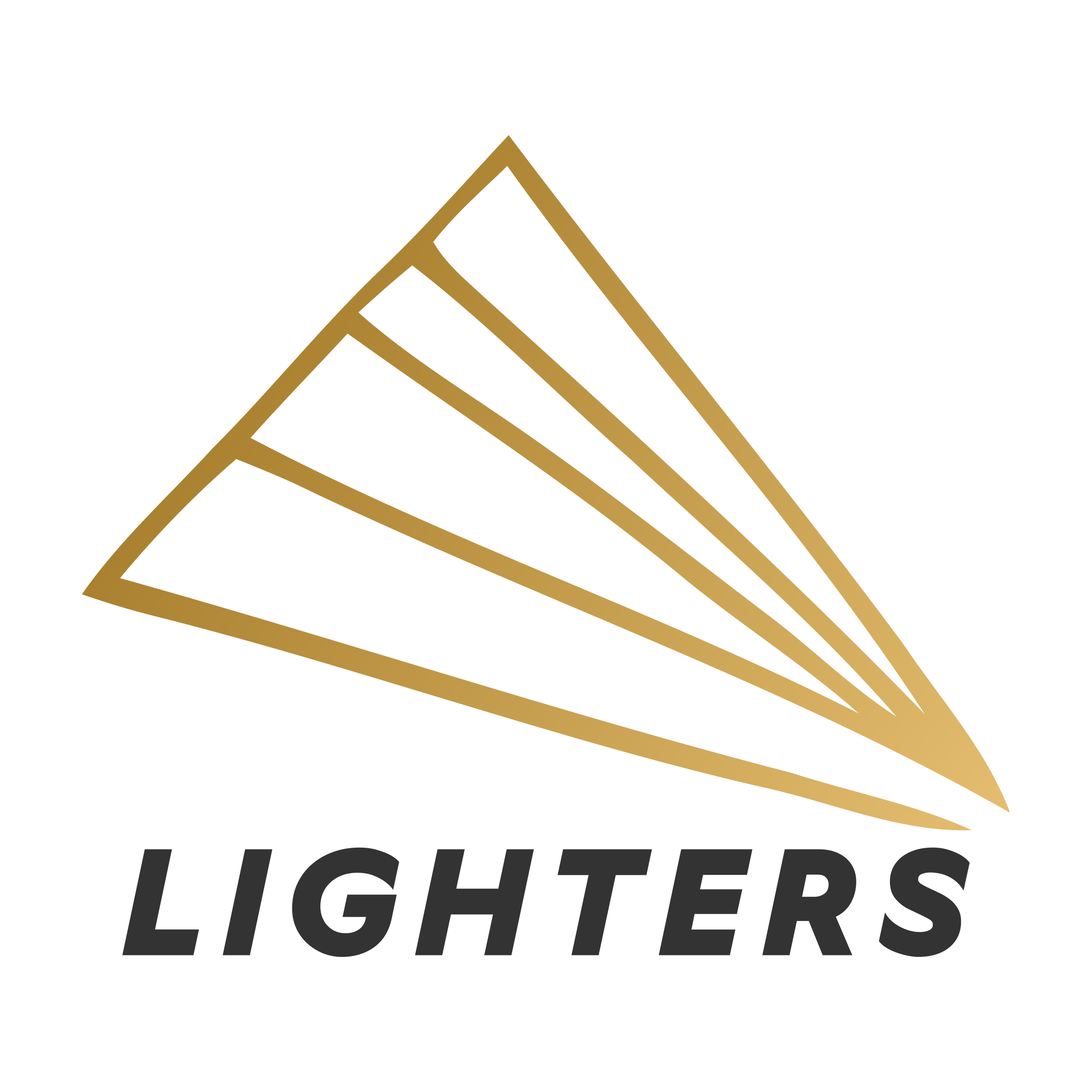 Логотип компании «Lighters»