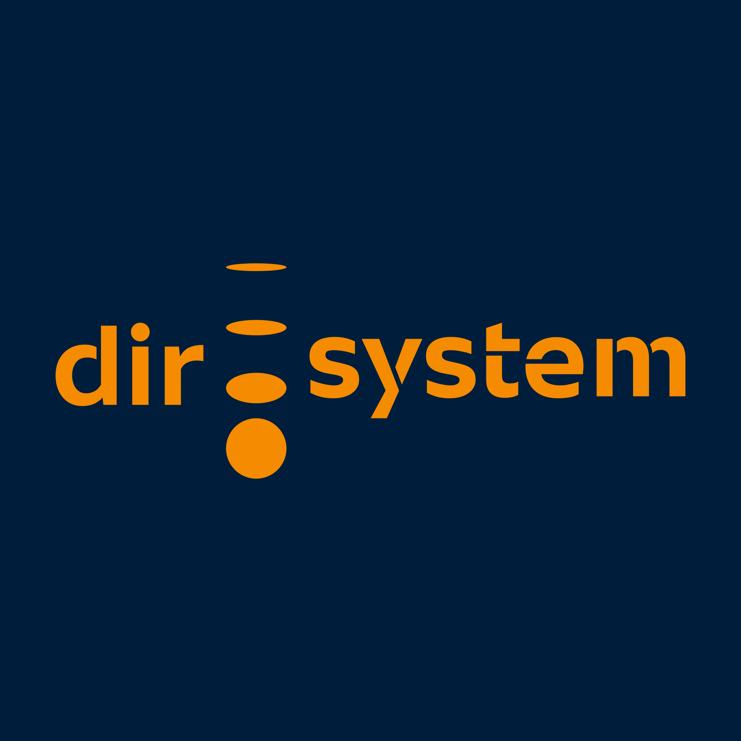 Company logo «dir system»