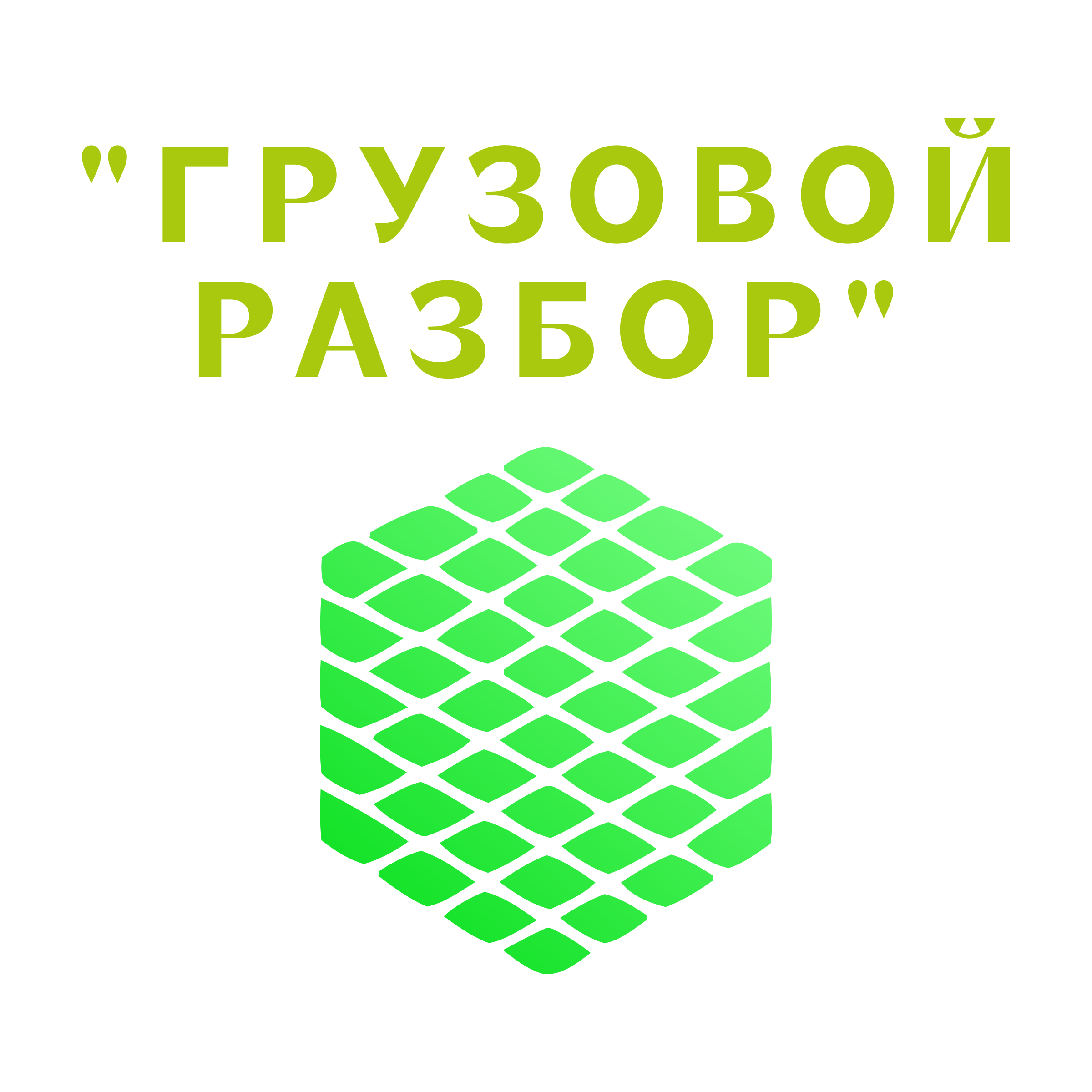 Company logo «"Грузовой разбор"»