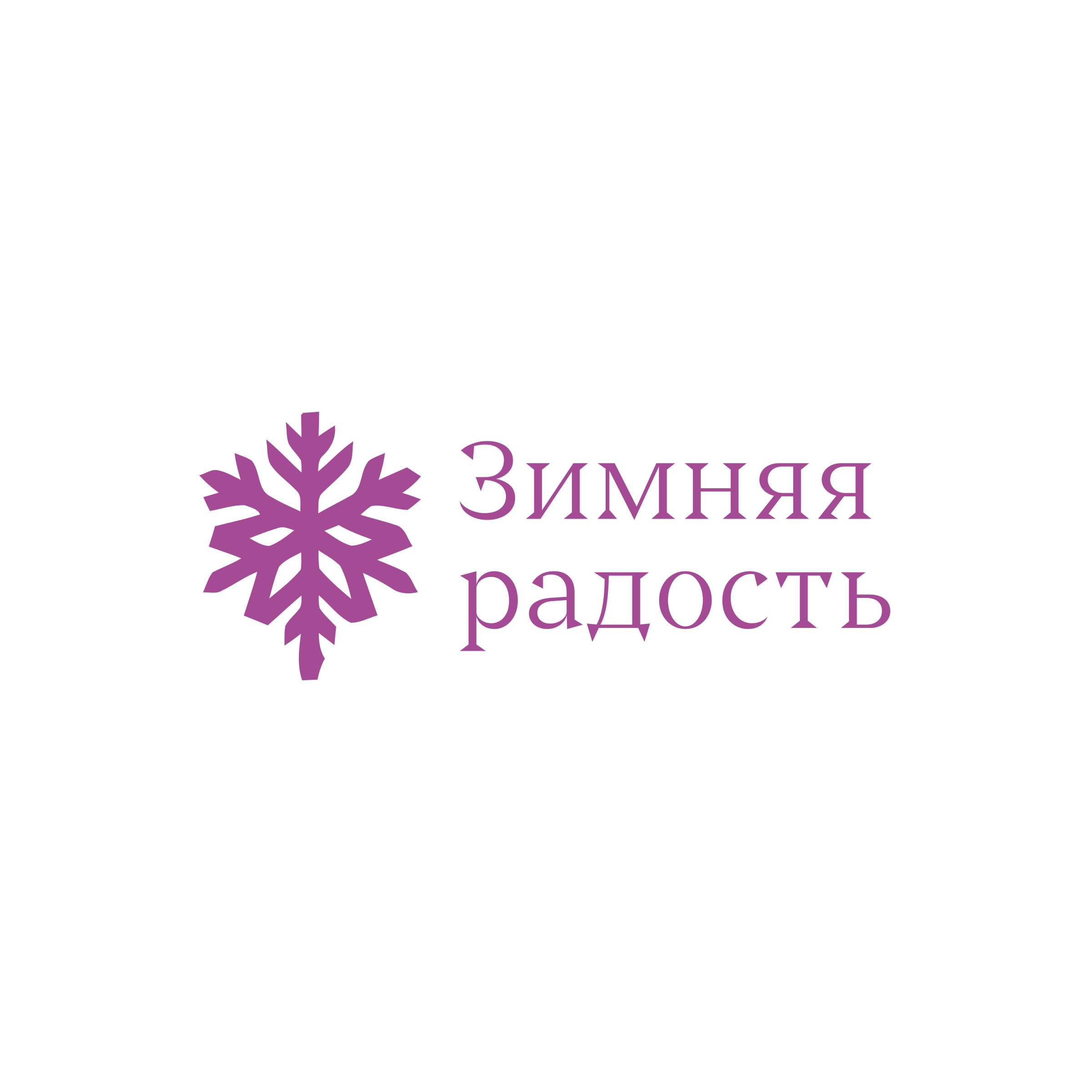 Company logo «Зимняя радость»